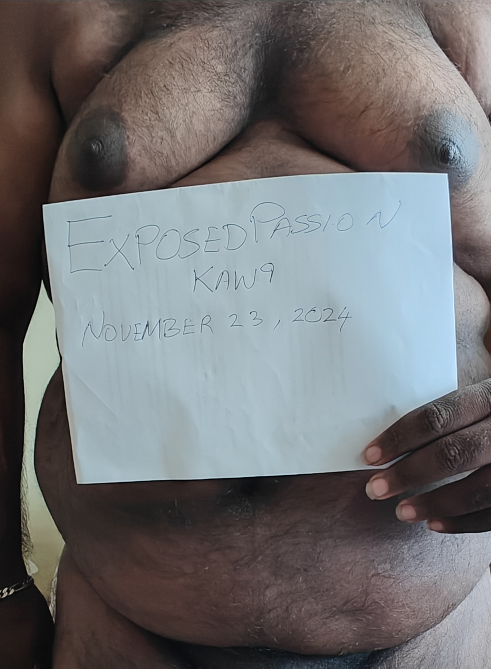 Slave pig