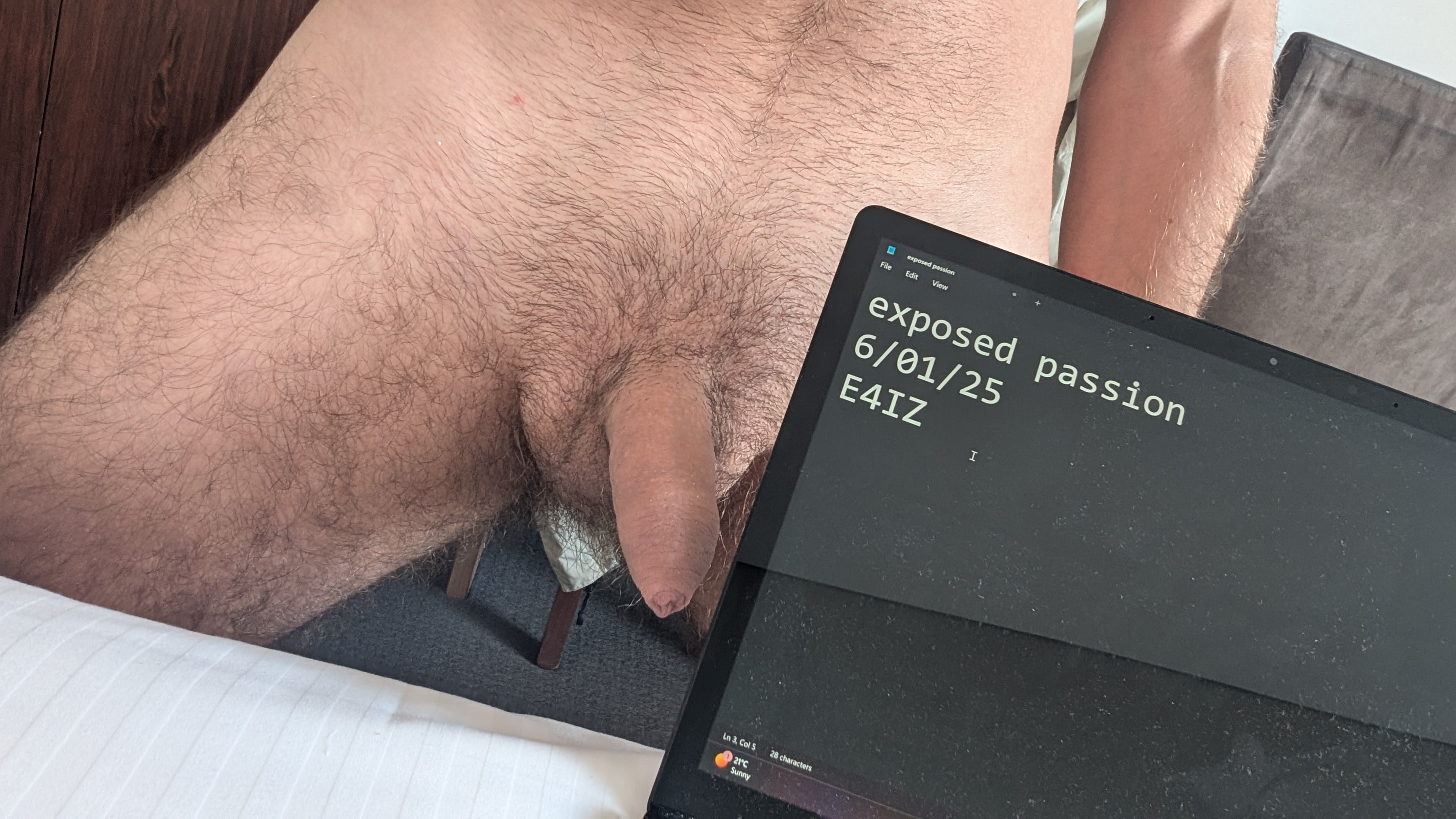 Verification