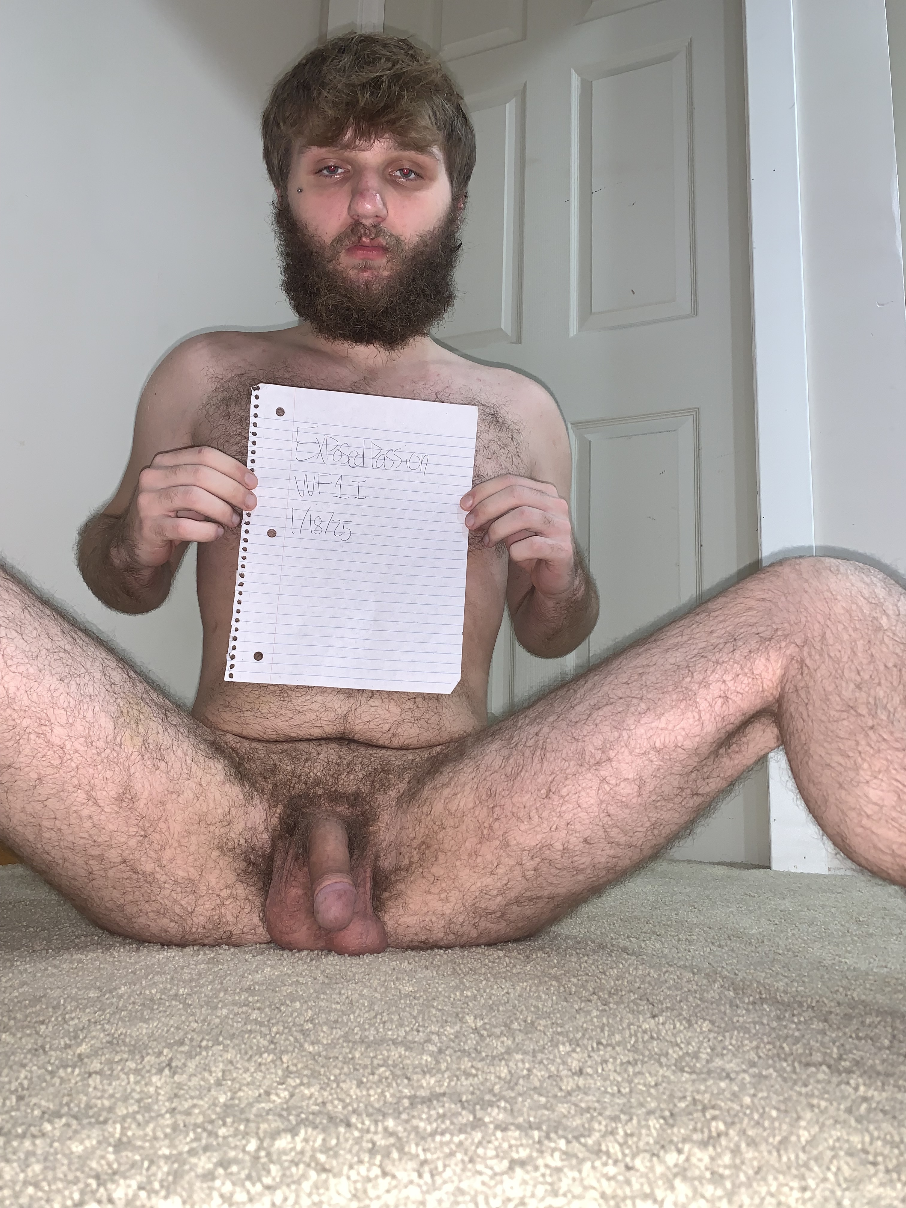Verification
