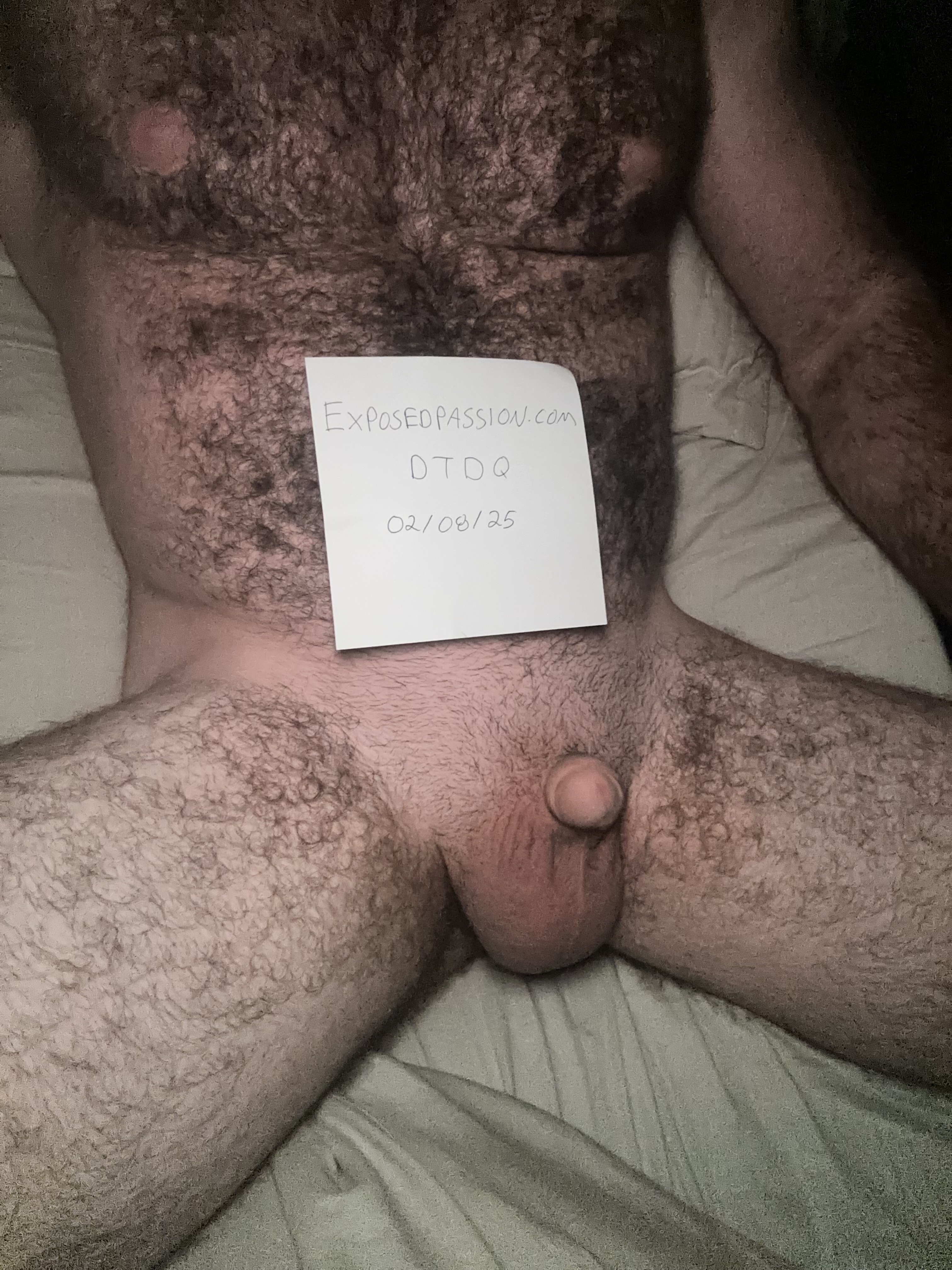Verification