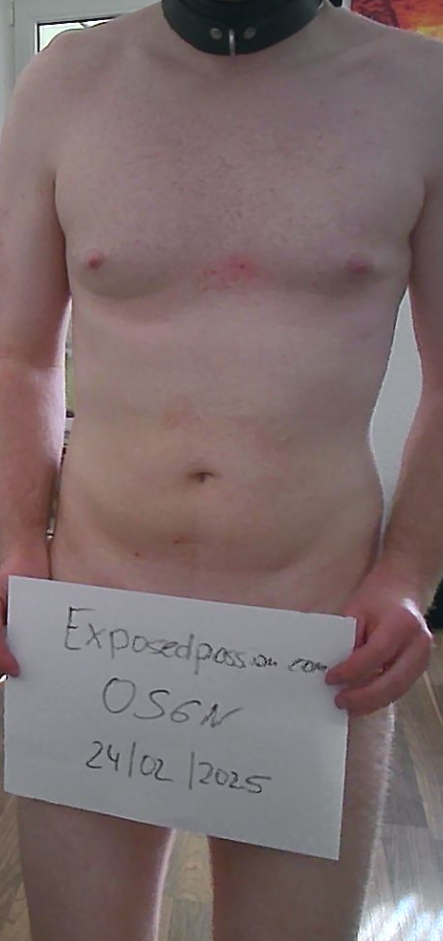 verification