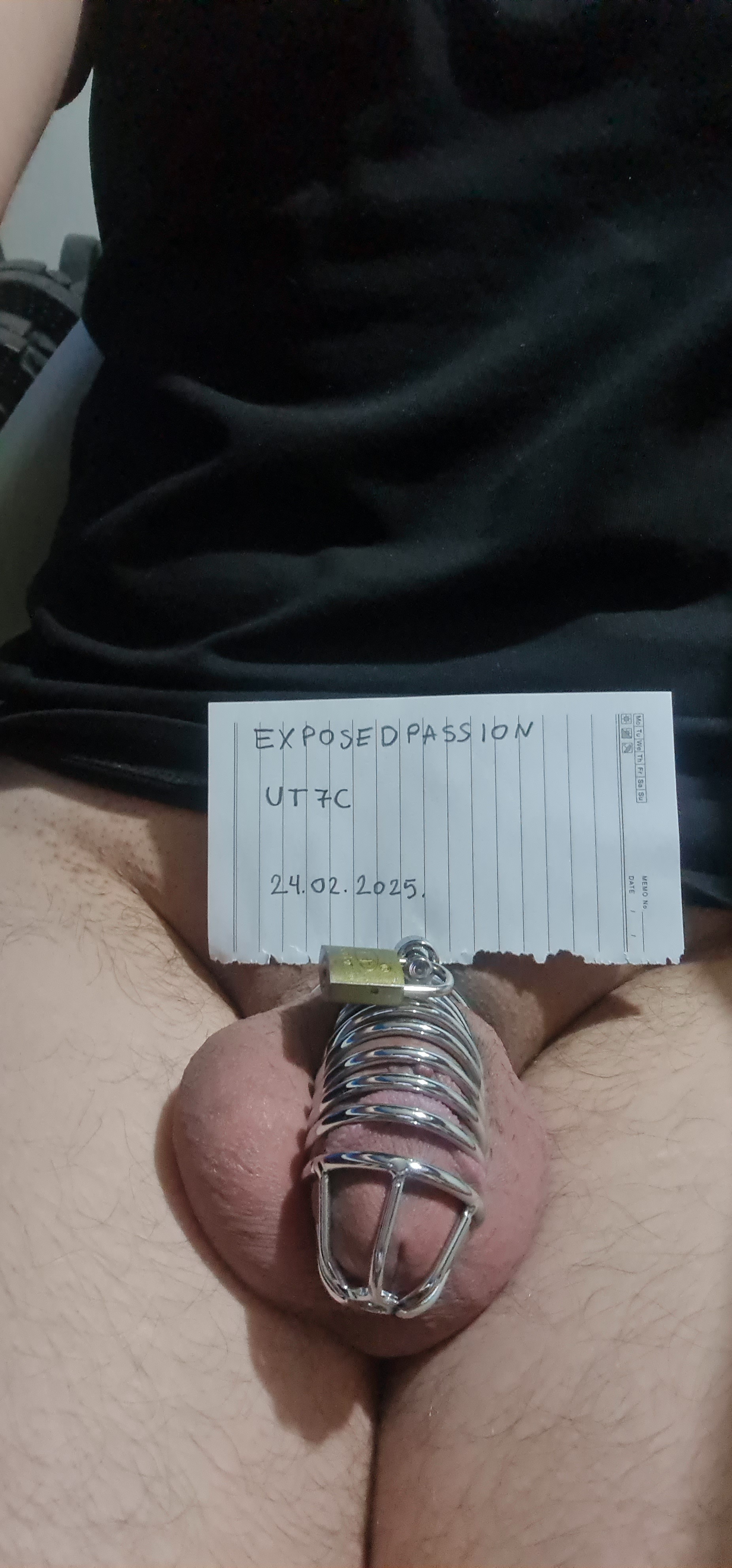 Verification