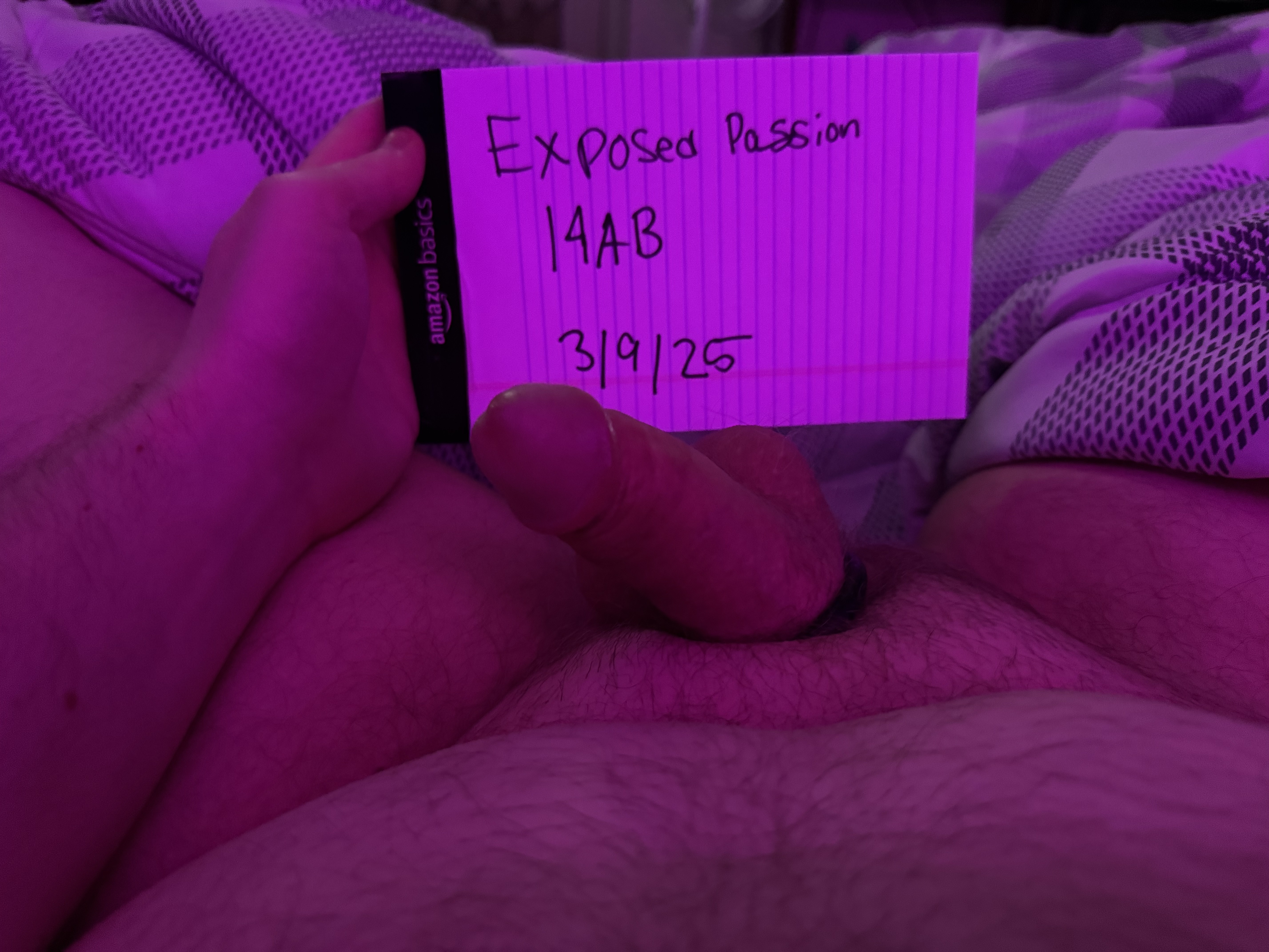 Verification 