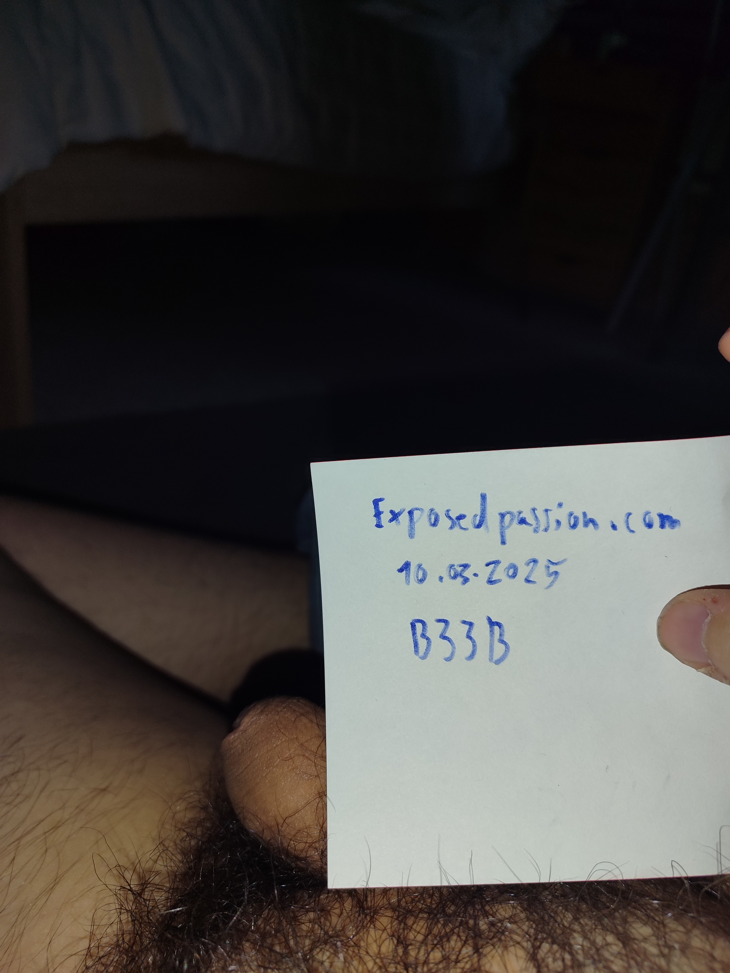 Piggys Verification 