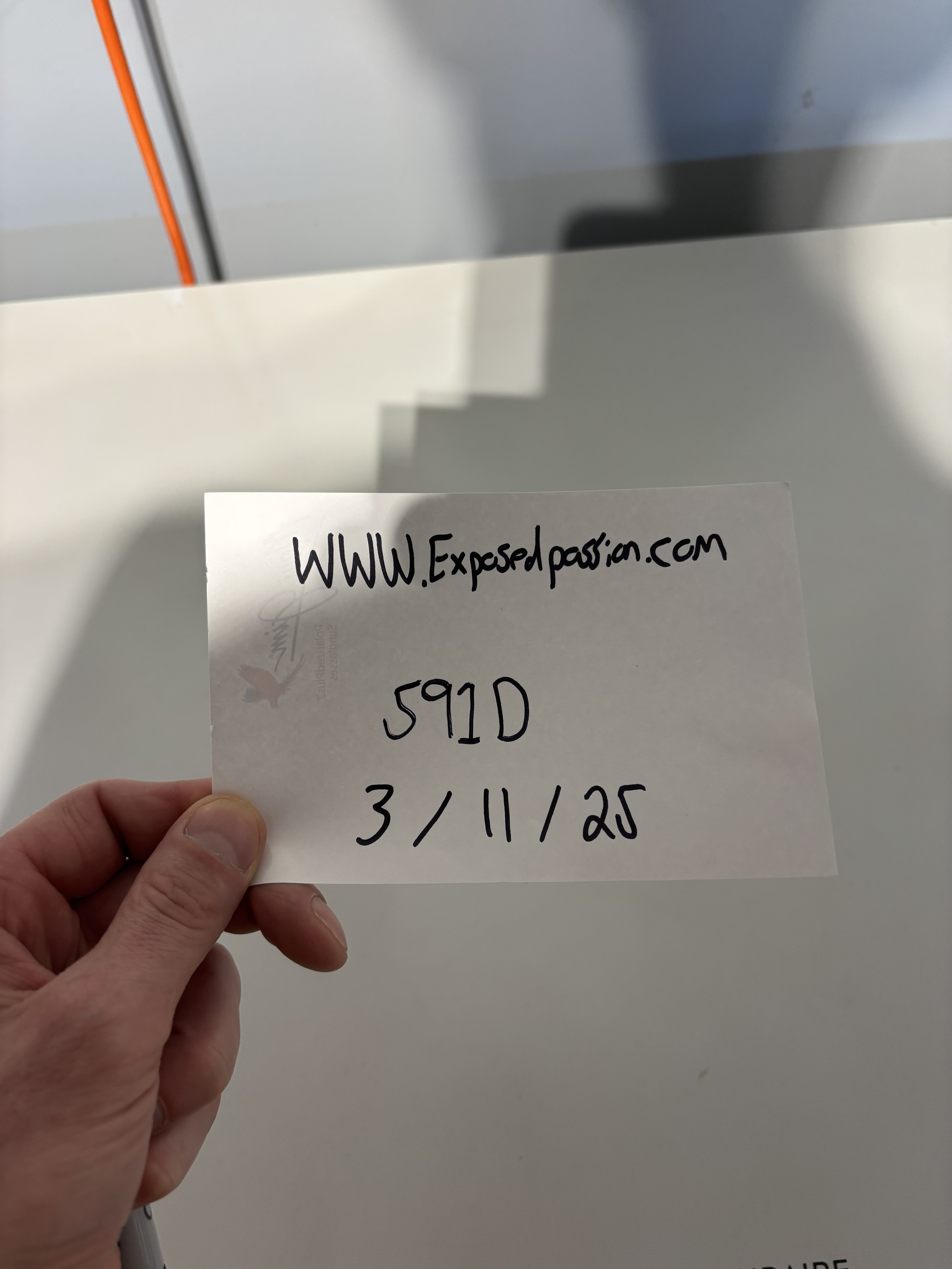 Verification 