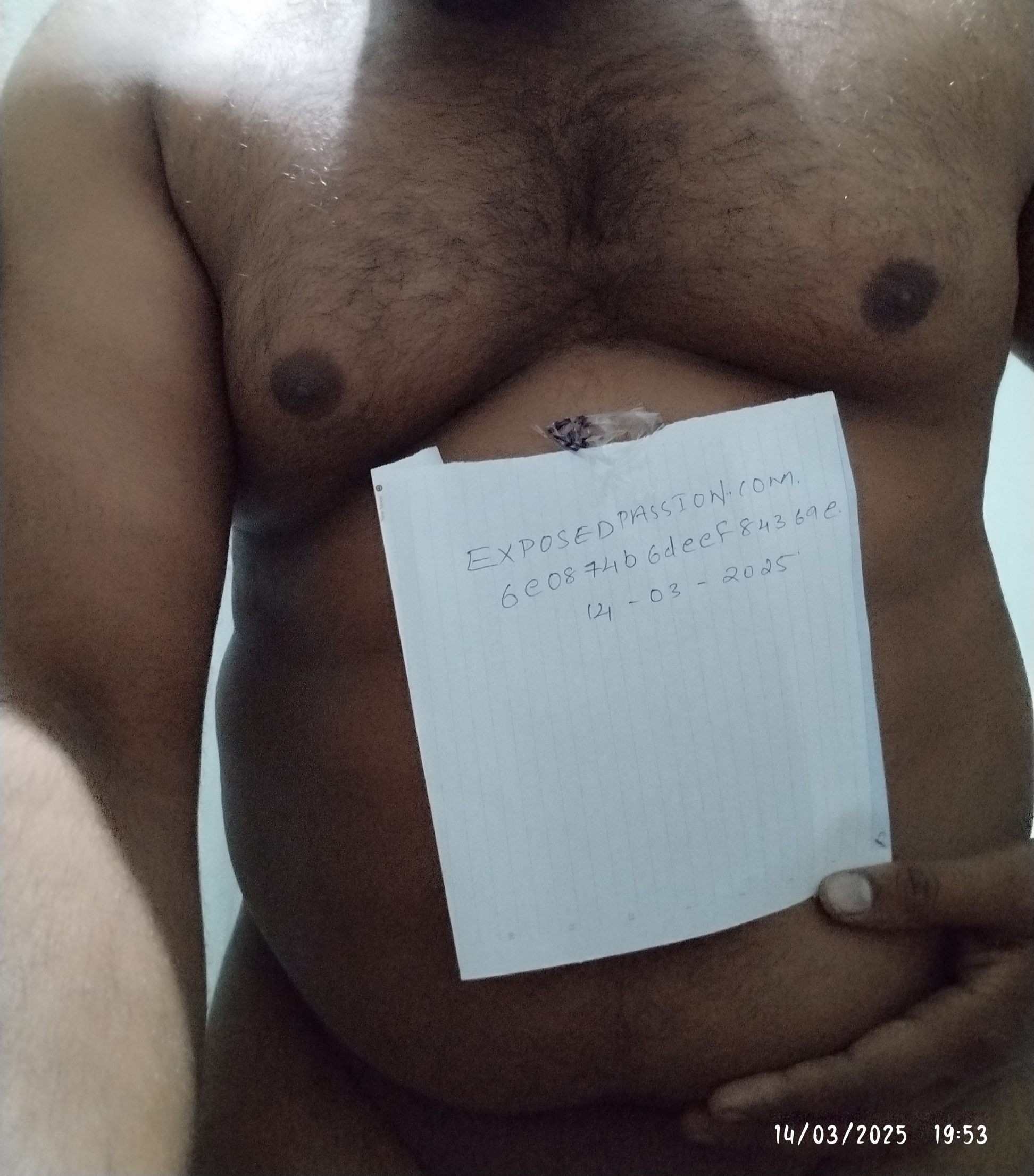 Verification 