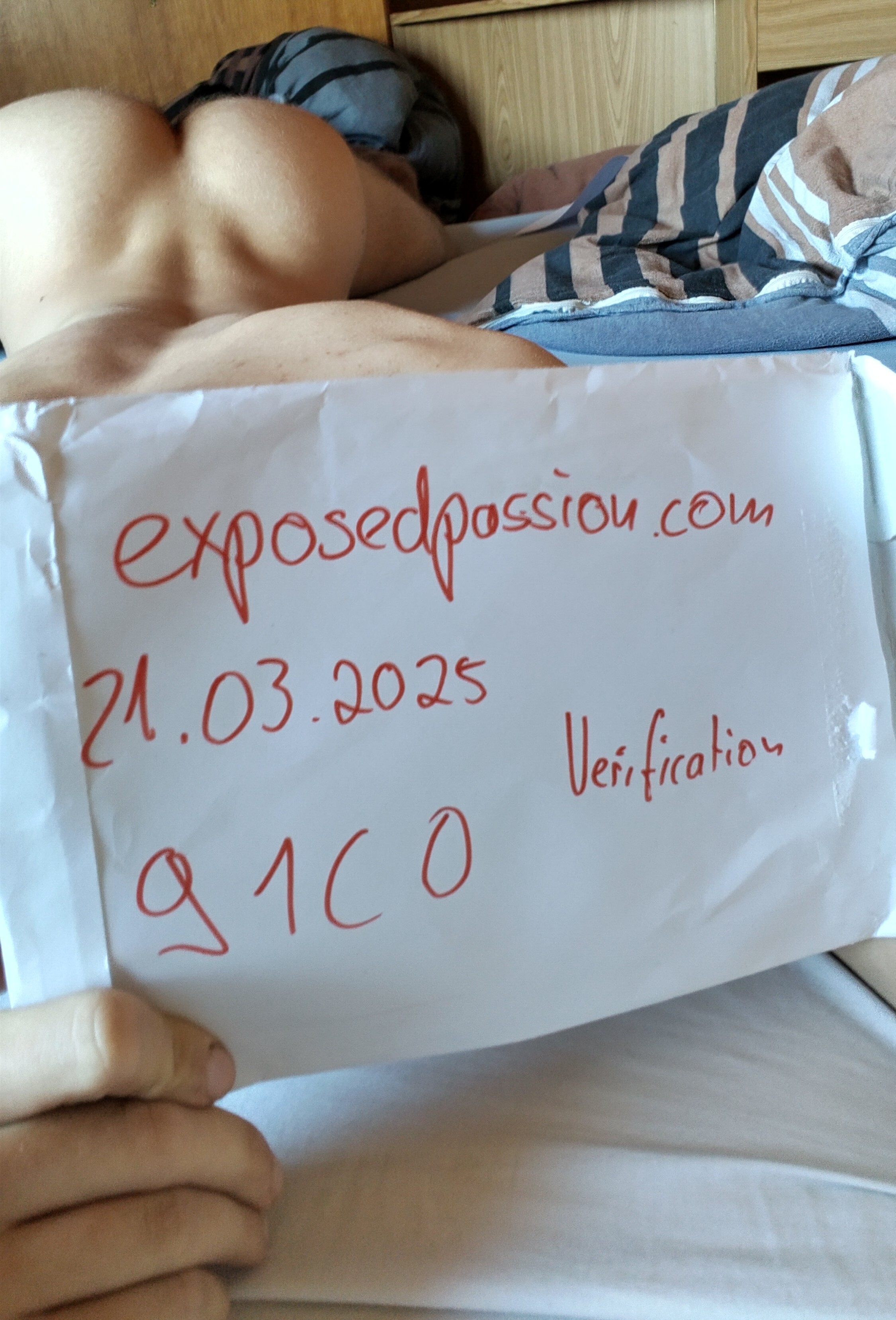 Verification 