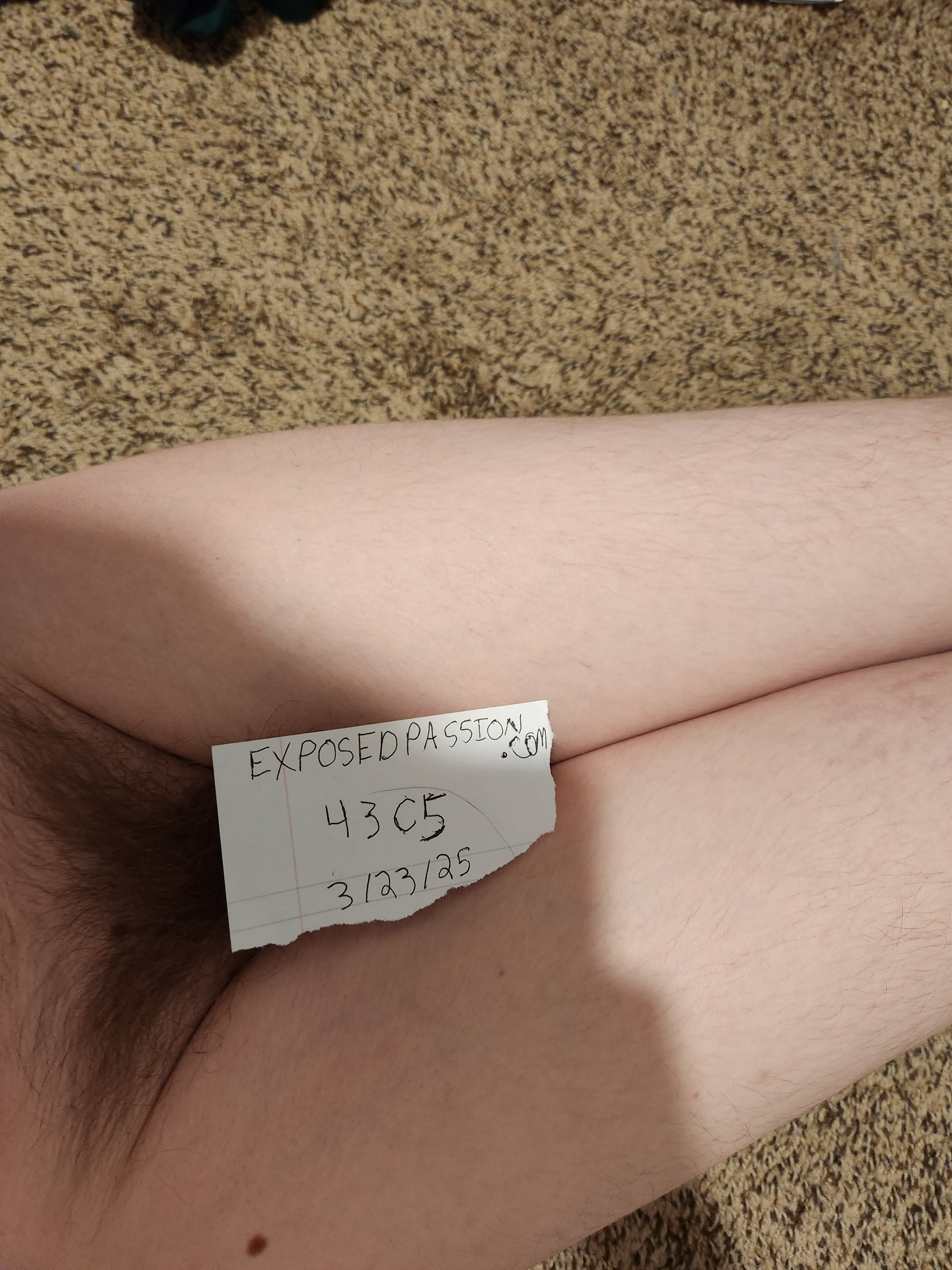 Verification