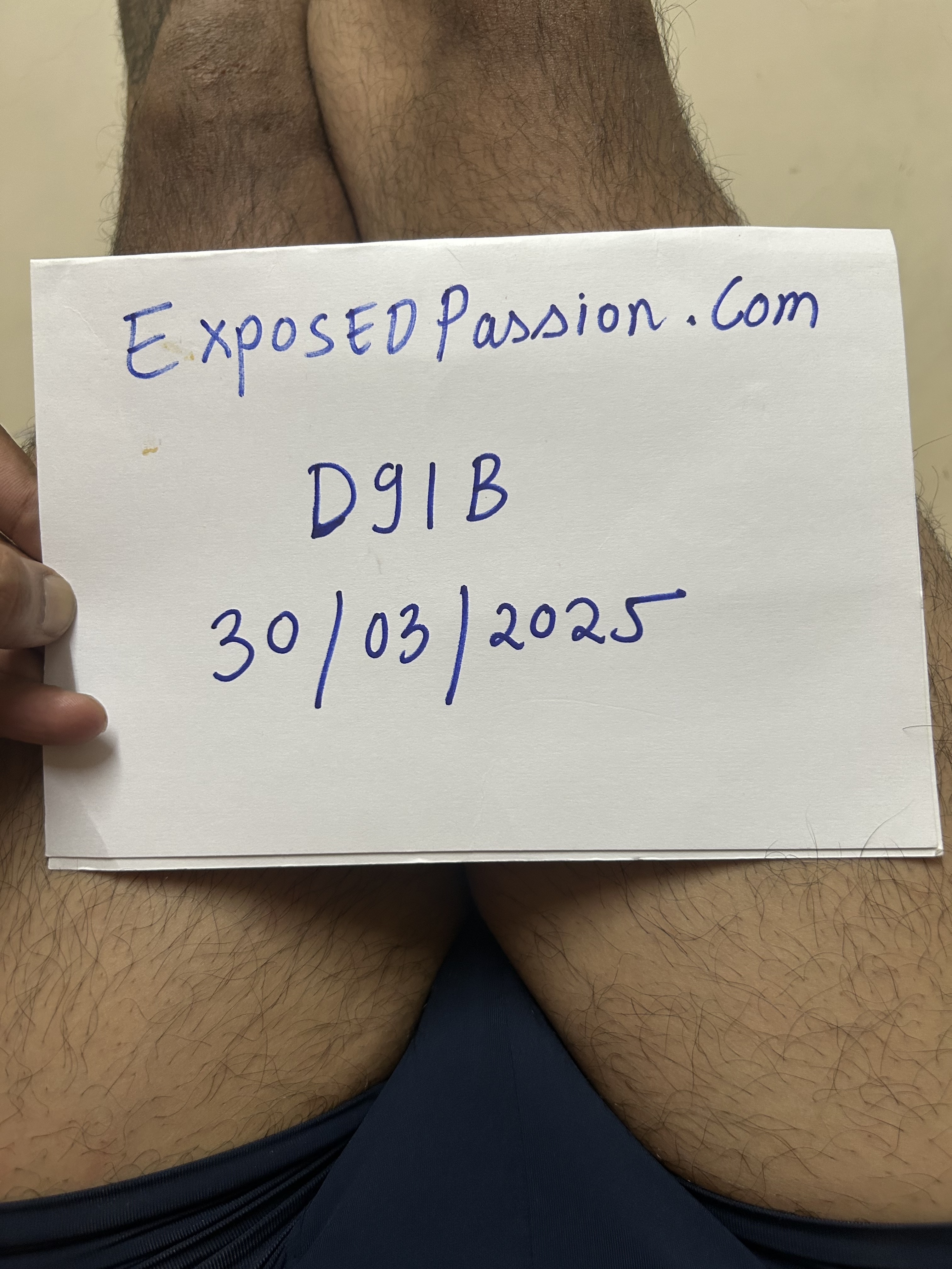 Verification 