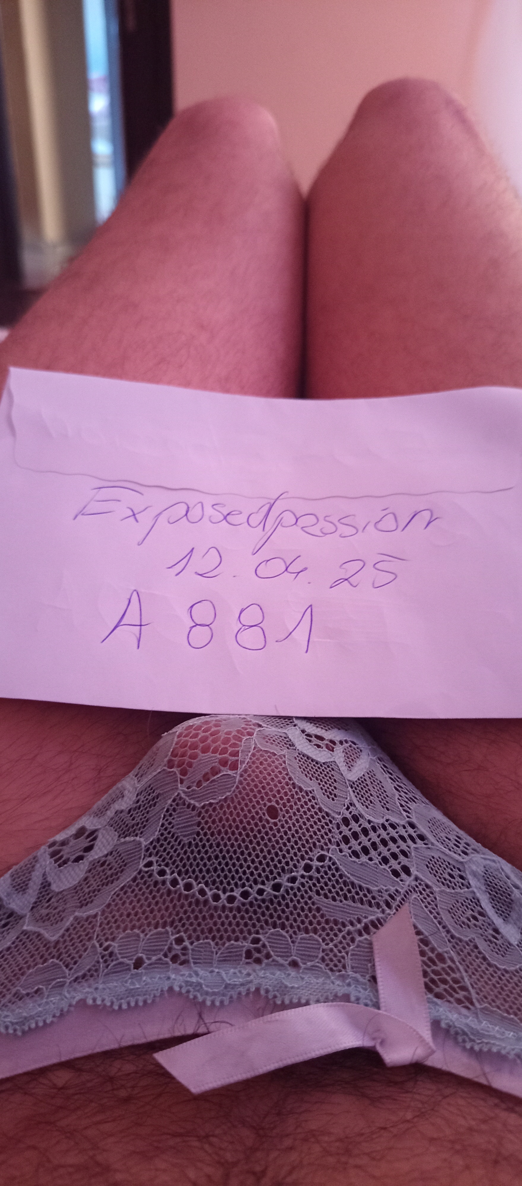 Verification 