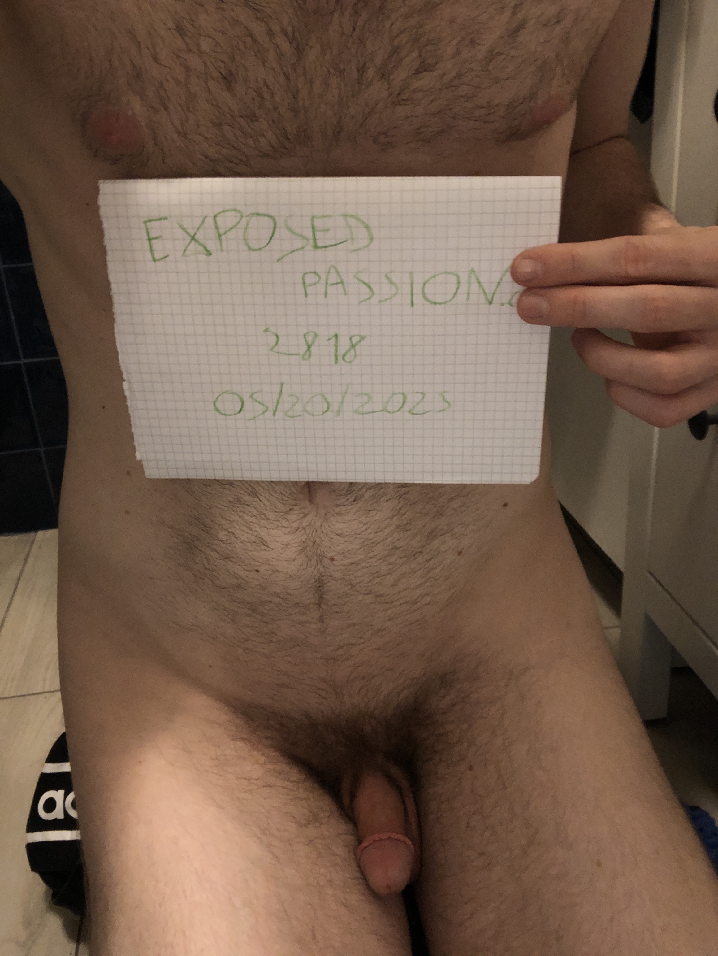 Verification 
