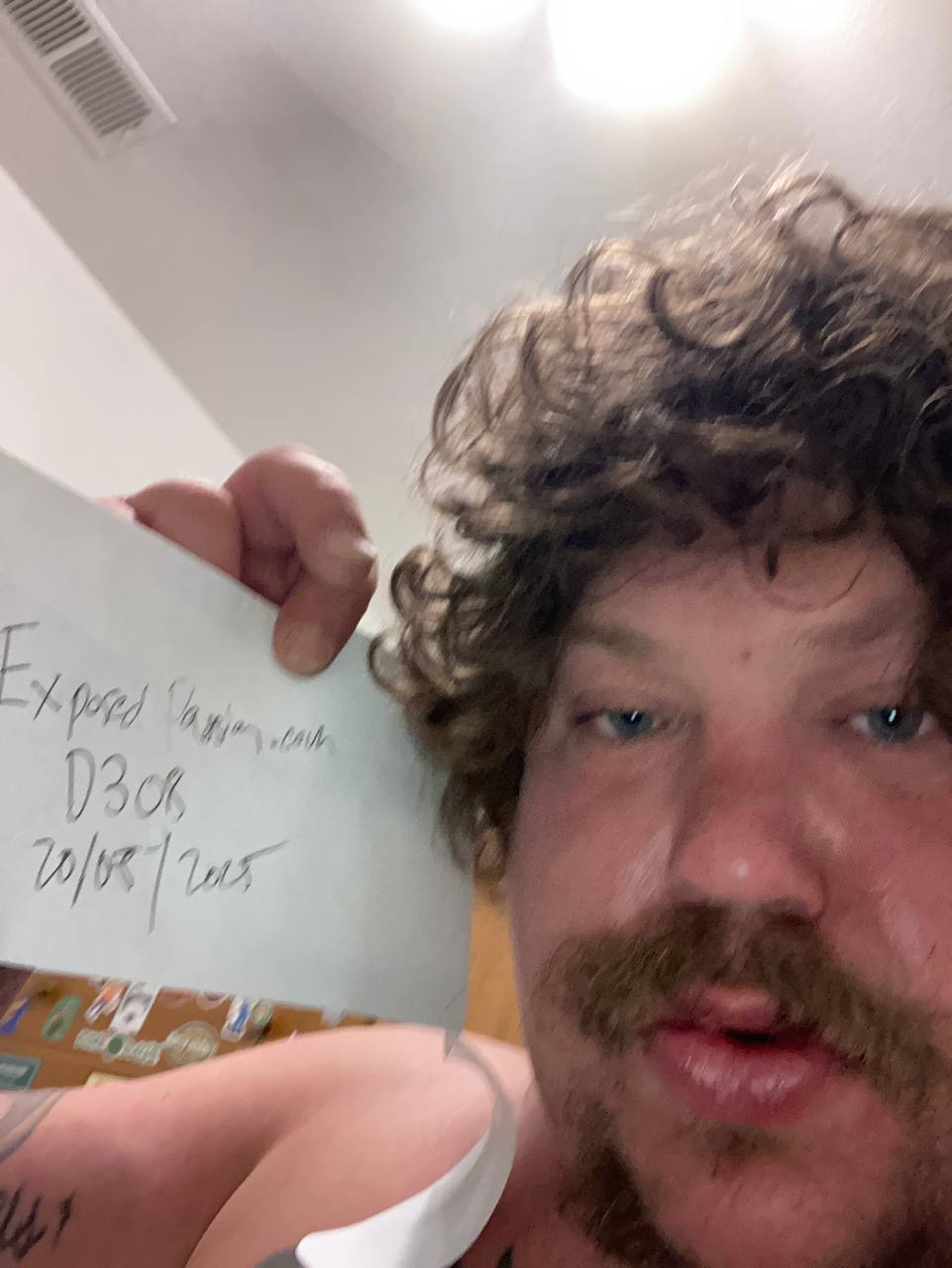 Verification 