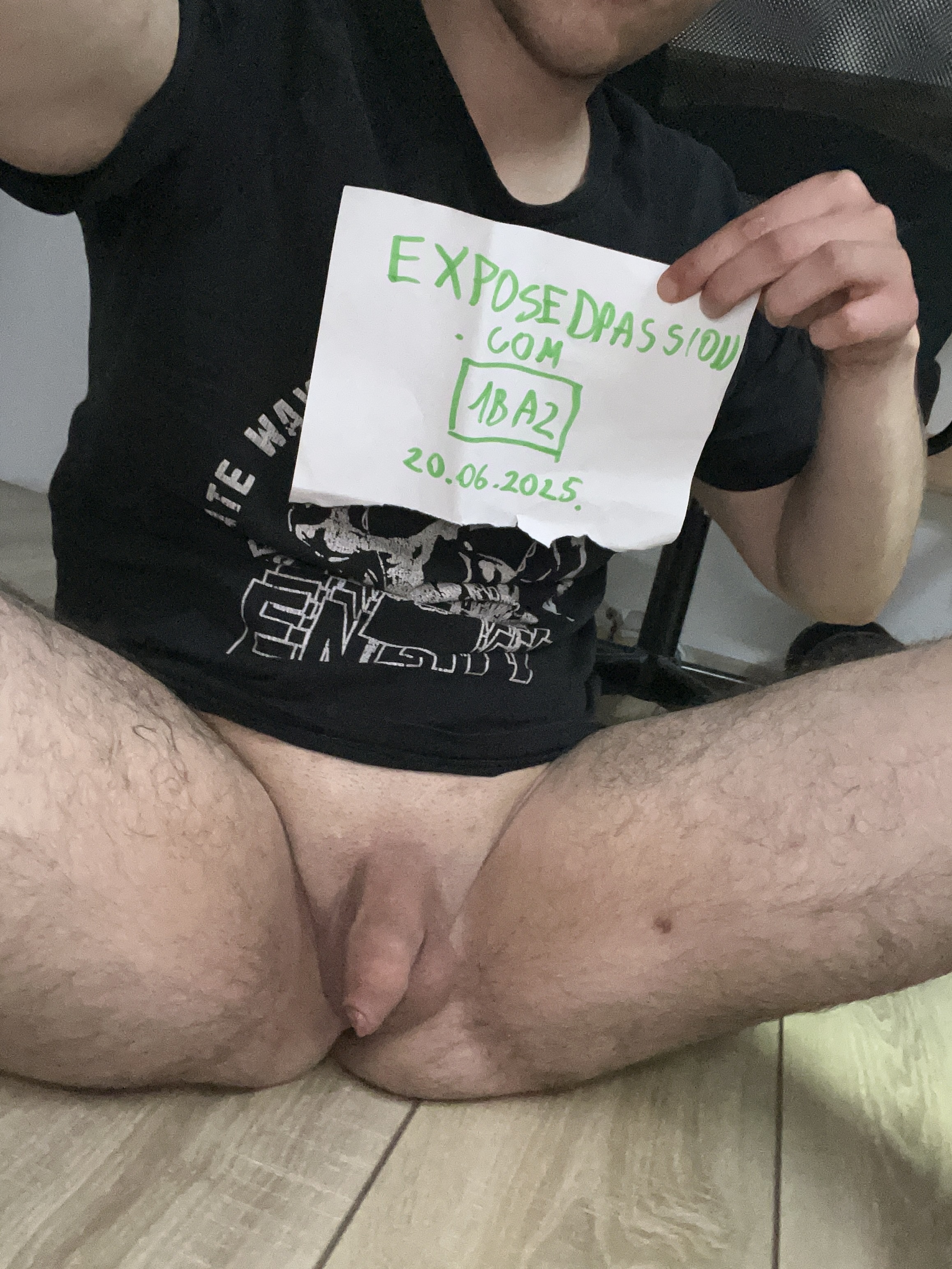 Verification piggy