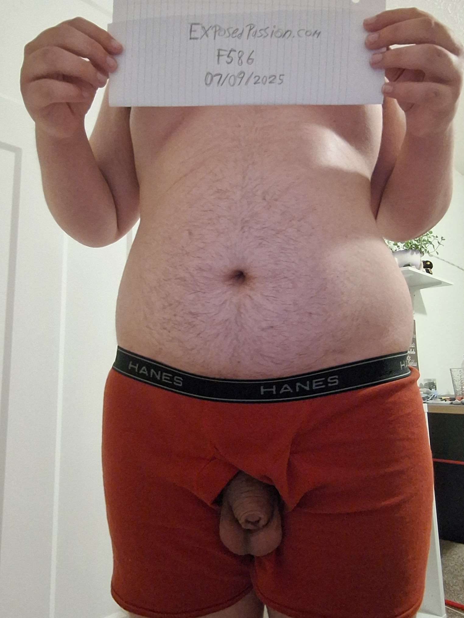 Verification Attempt 2