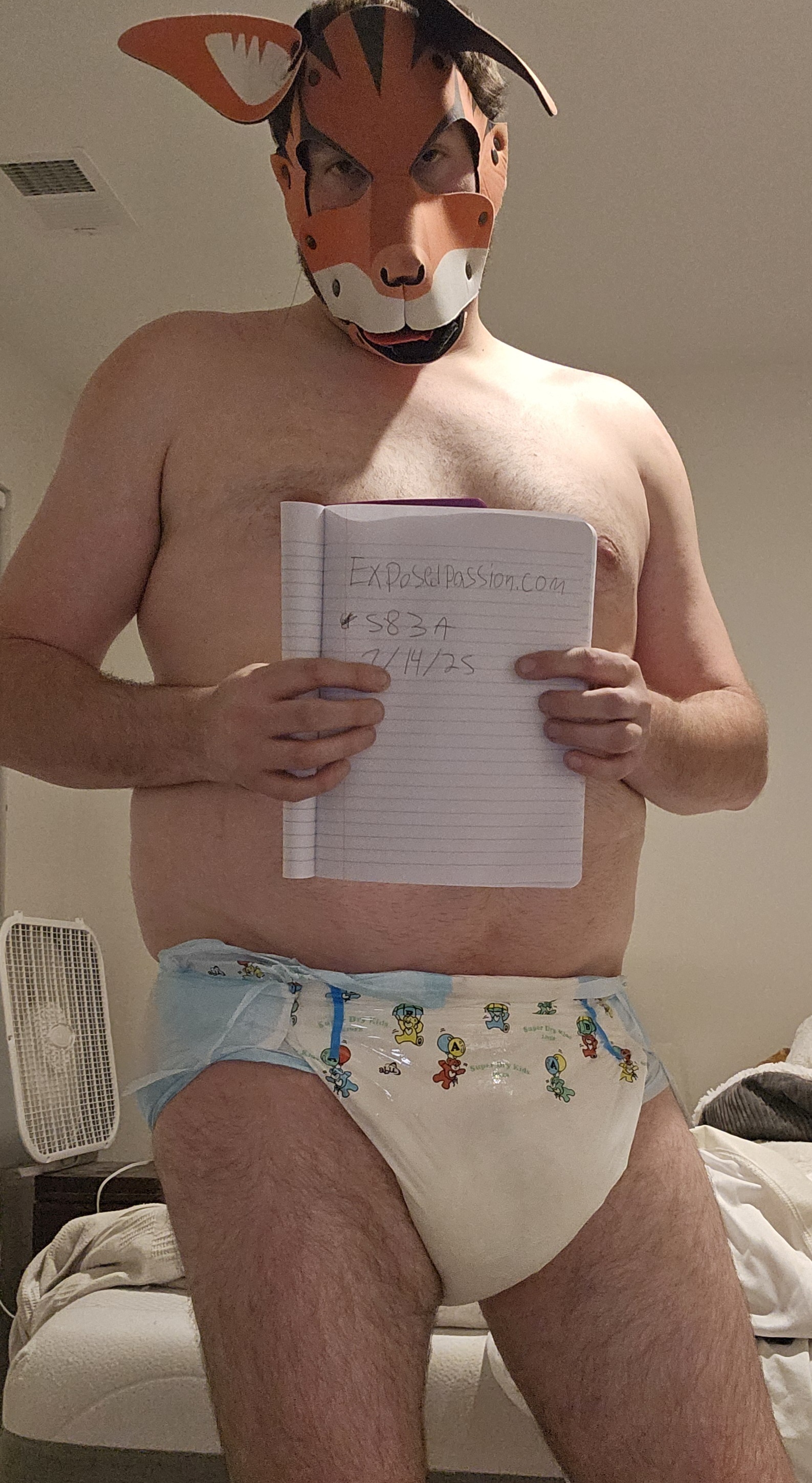 Trouble Verification