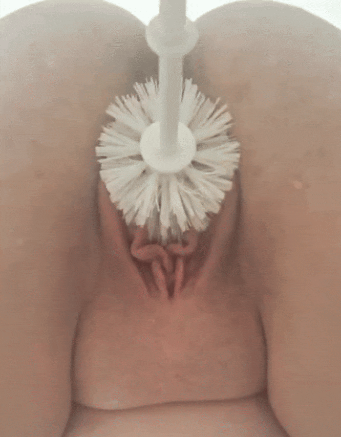 Toilet brush