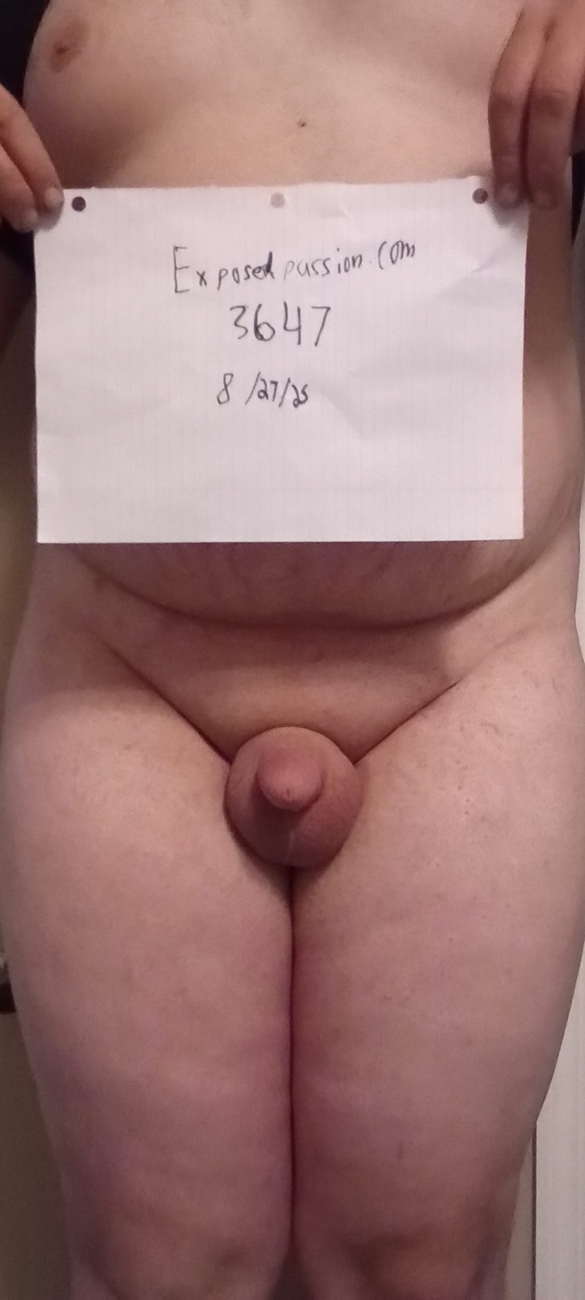 3647 - Verification 