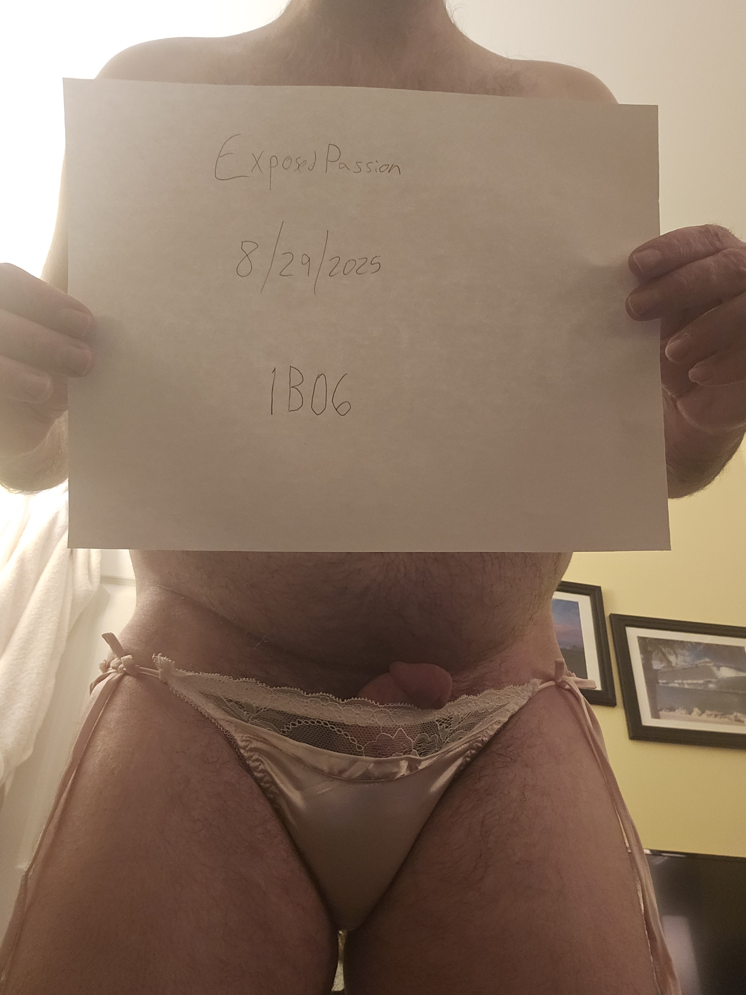 1B06 - Verification Post 