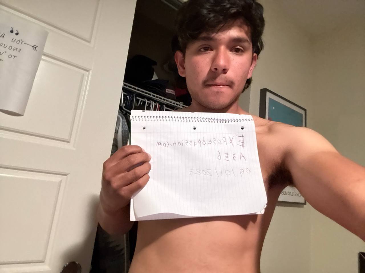 A3E6 - Verification 