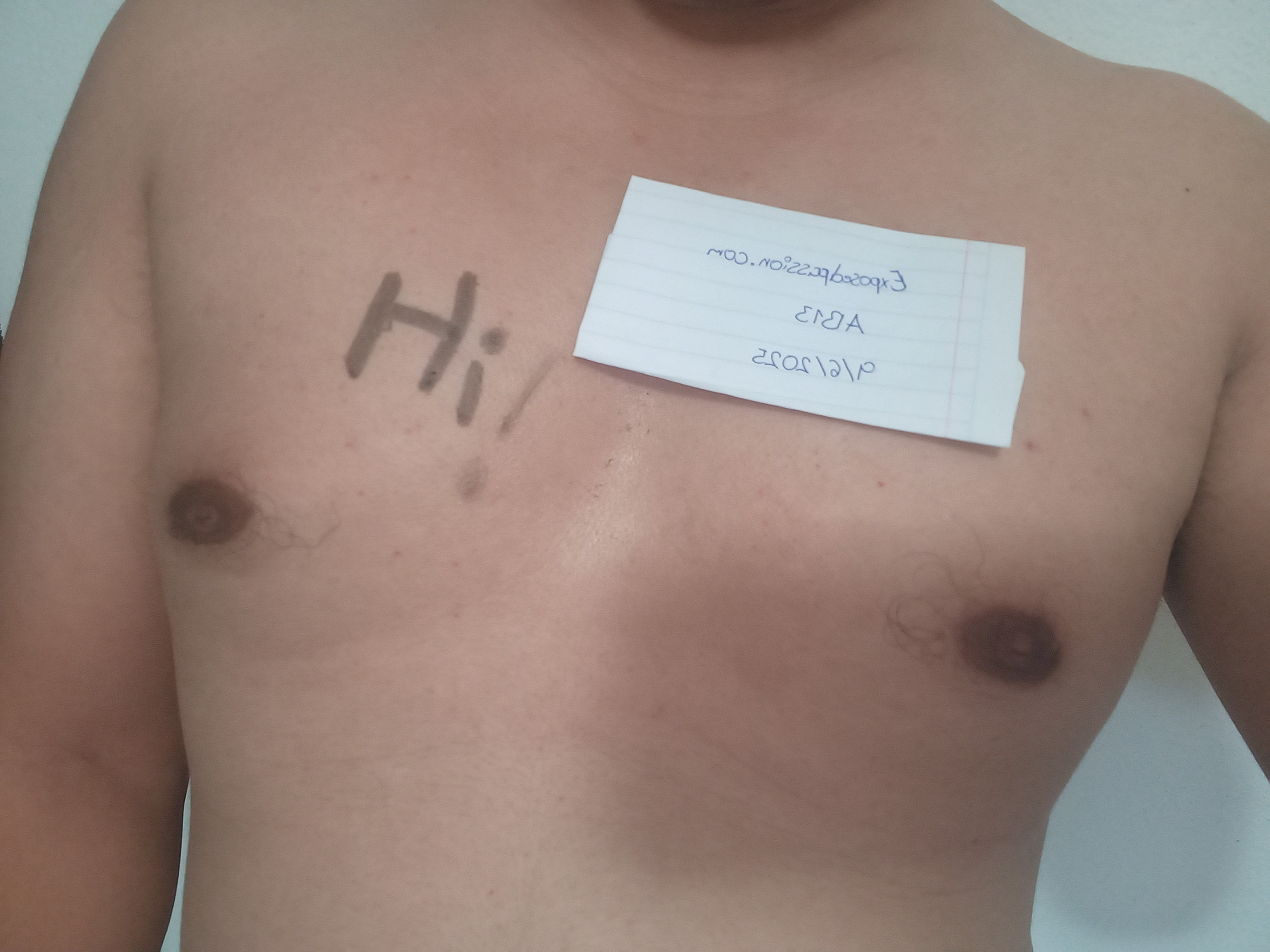 AB13 - Verification 