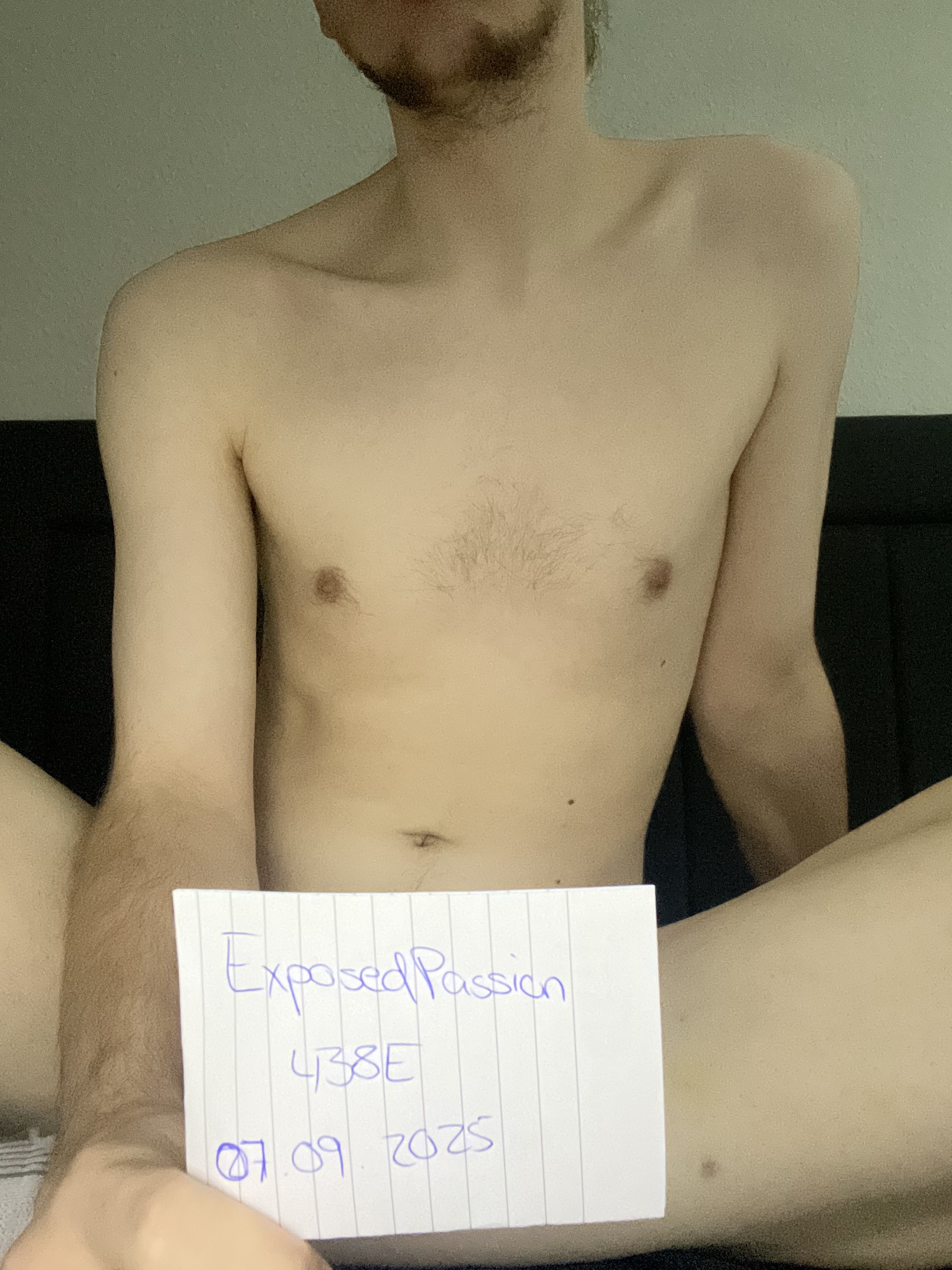 438E - Verification