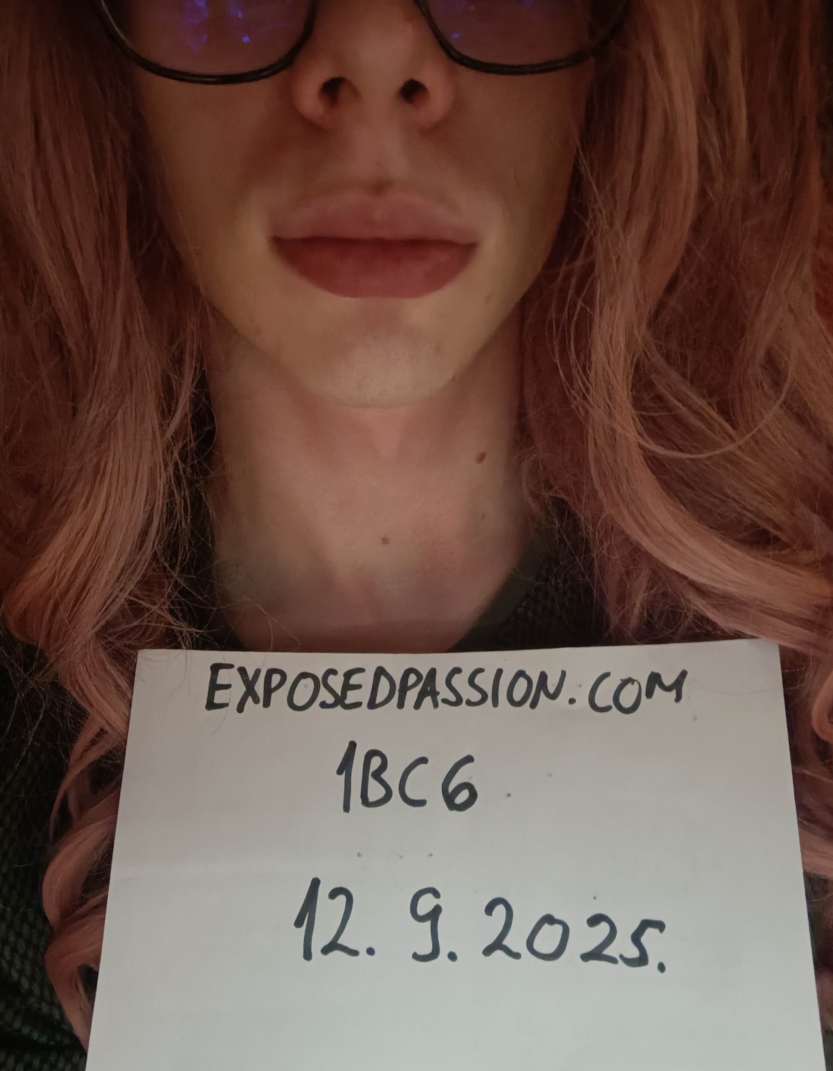 1BC6 - Verification