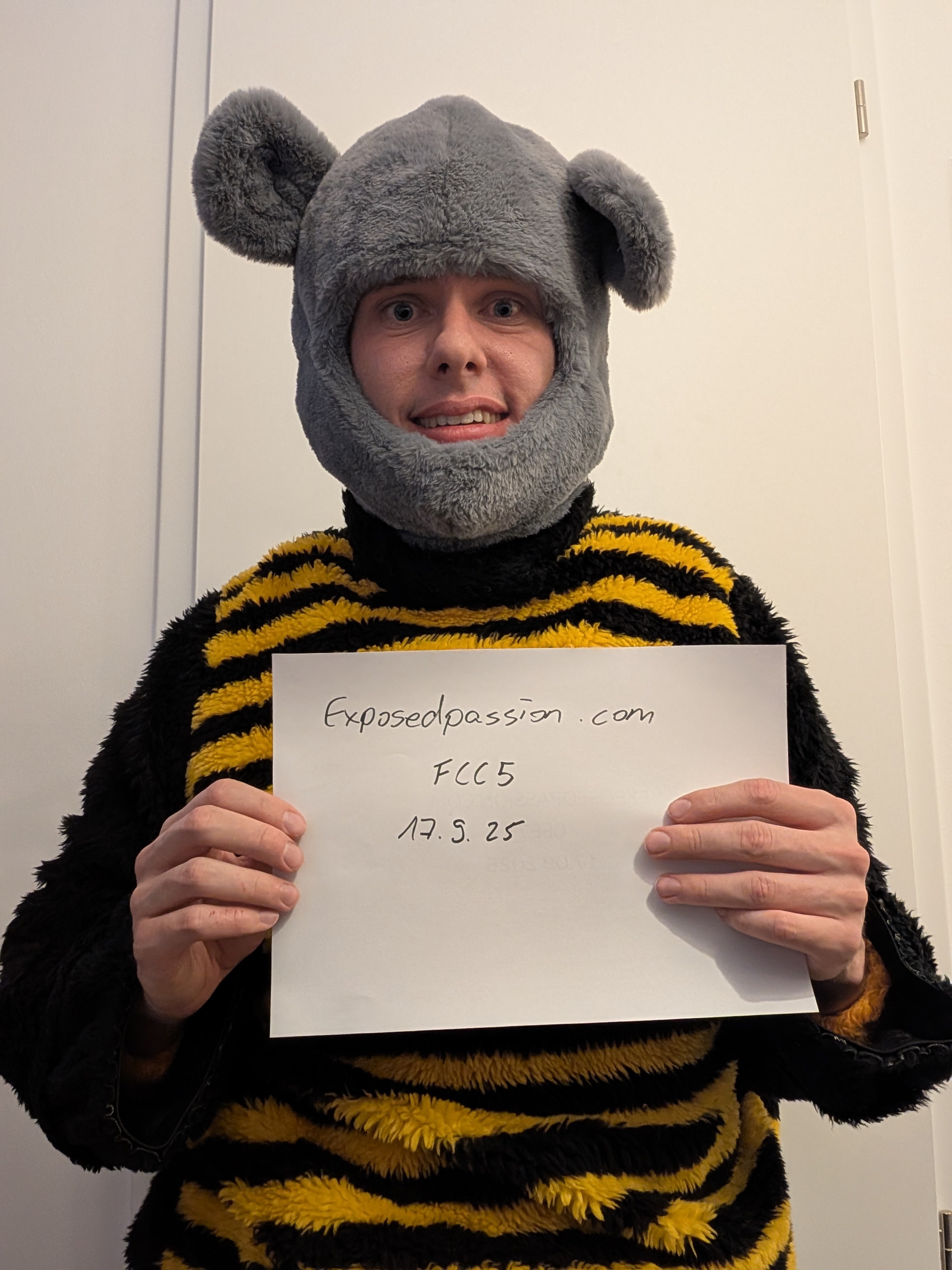FCC5 - Bee-Bear sub plush toy