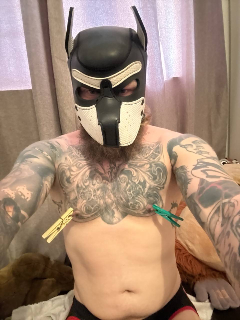 I'm a good dog ?