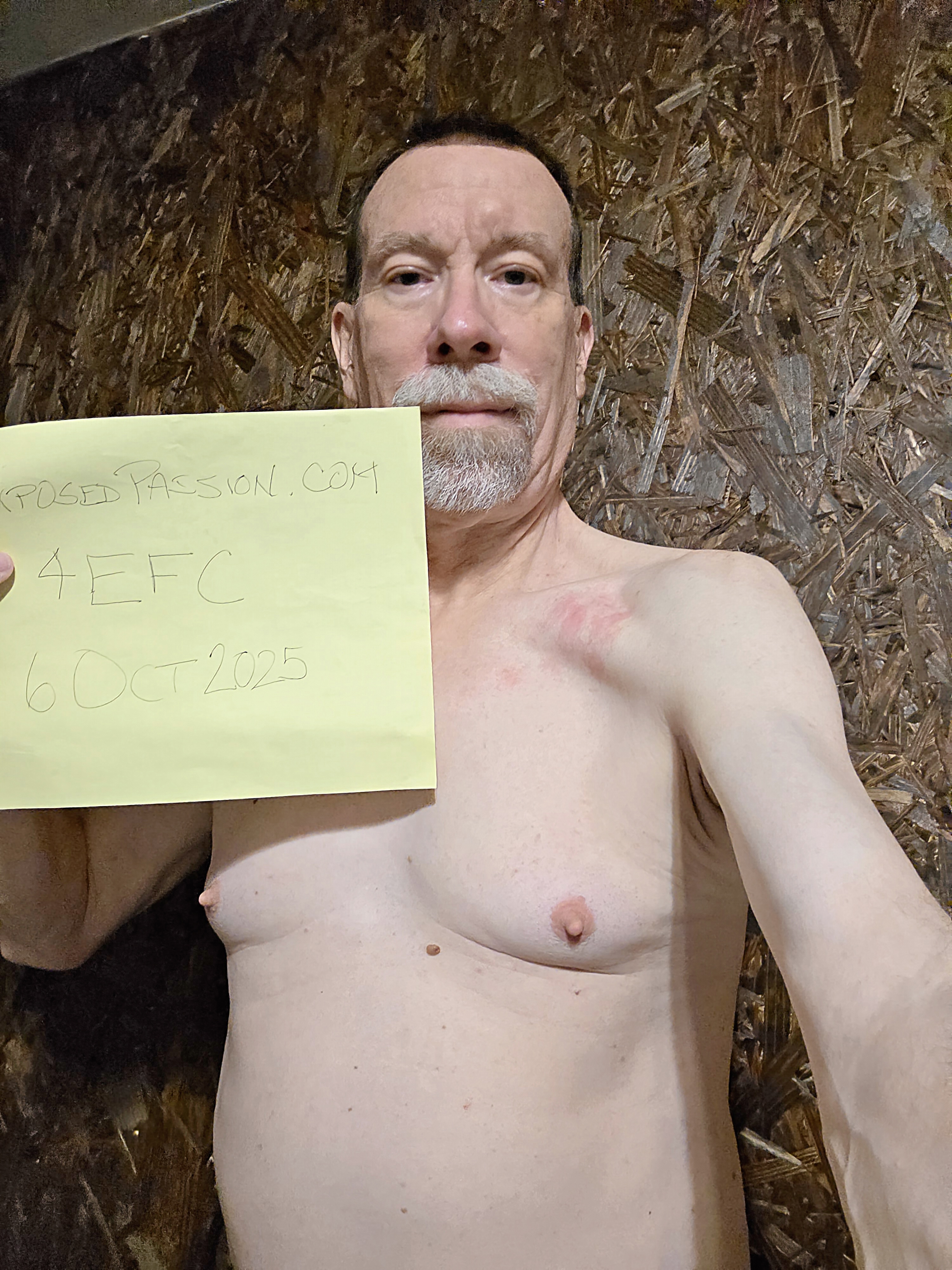 4EFC - Image Verification