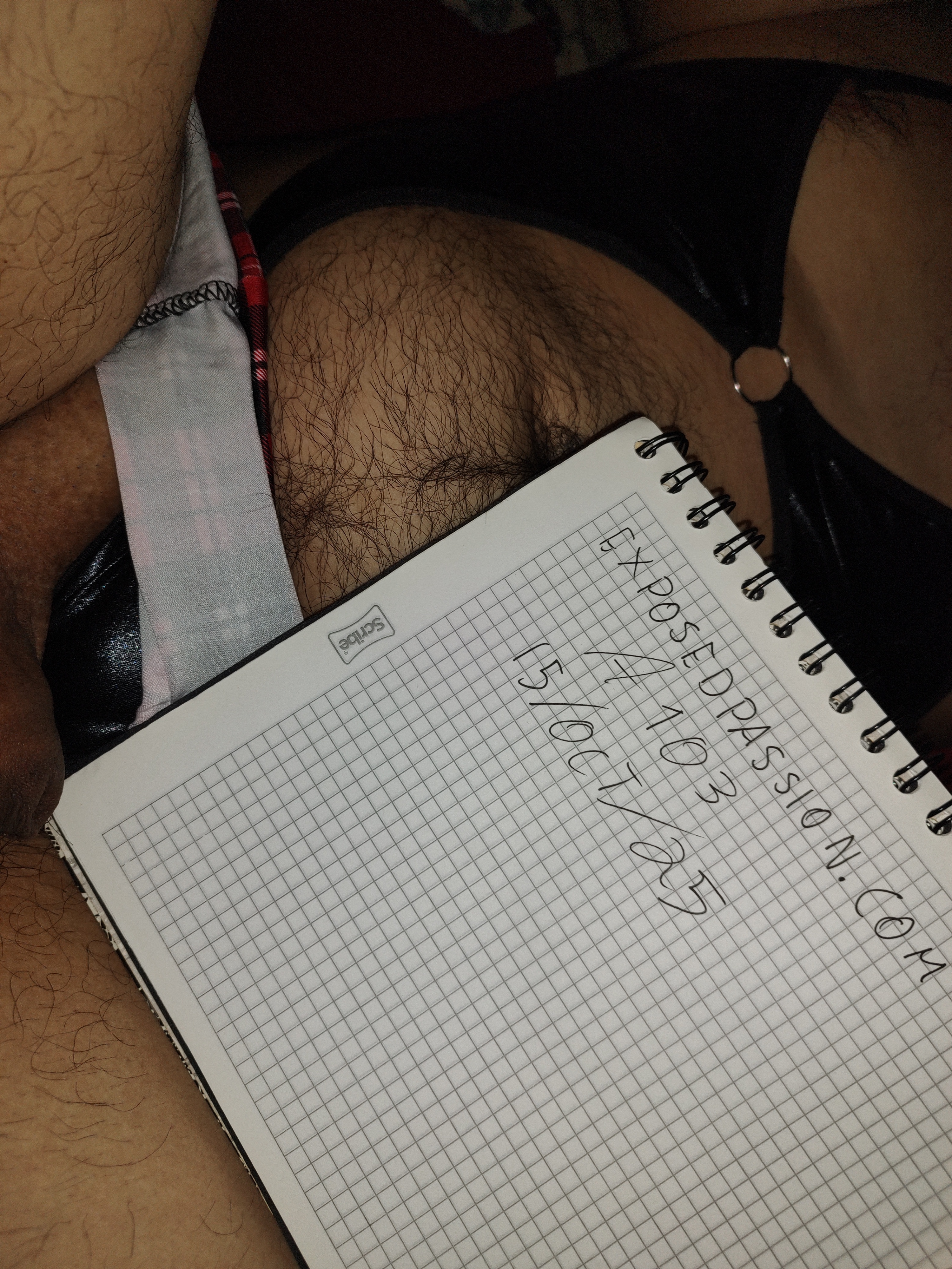 A103-Verification A103