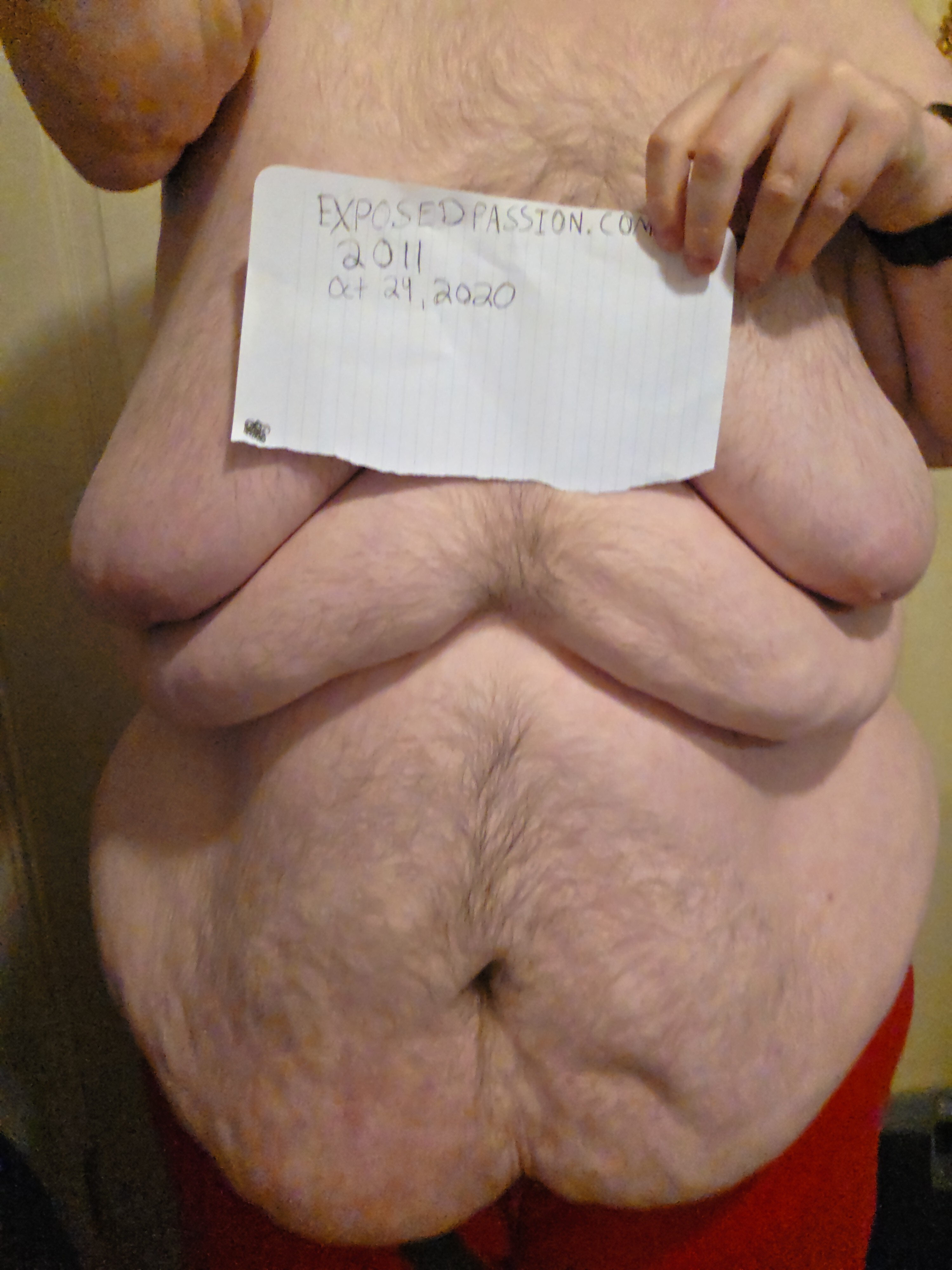 2011-Verification