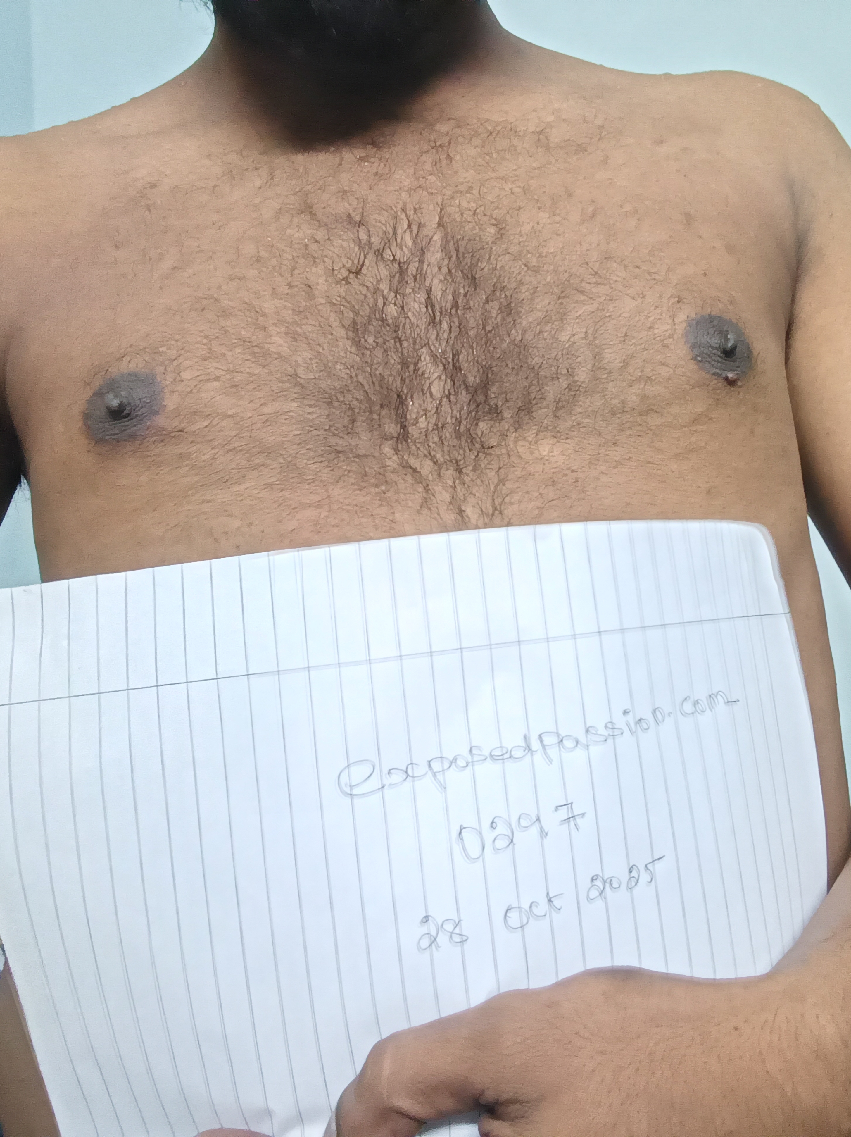 0297-Verification 