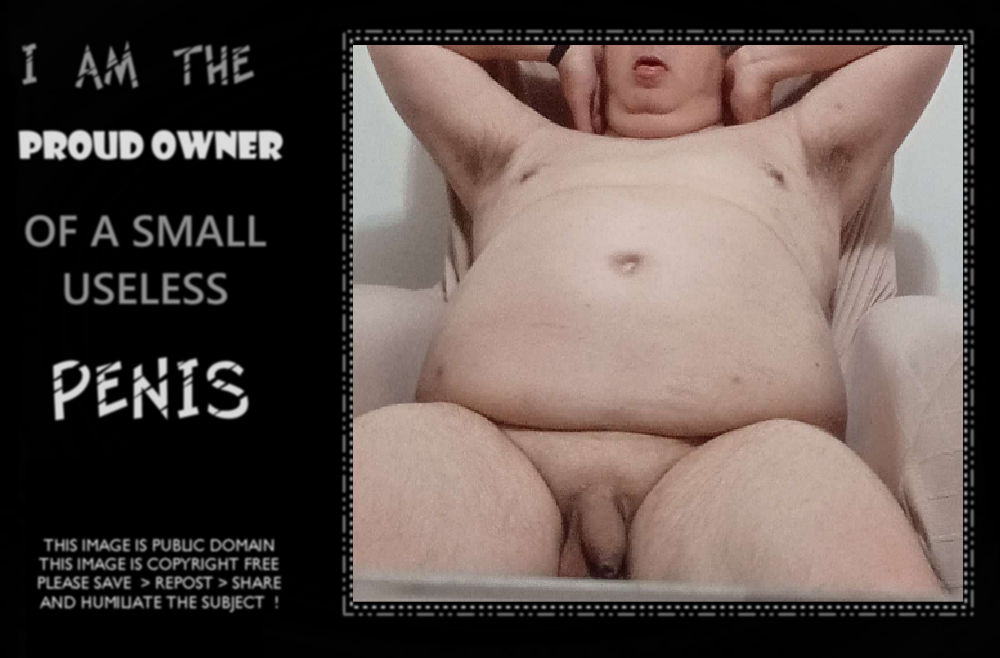 fat fag tinydick humiliation