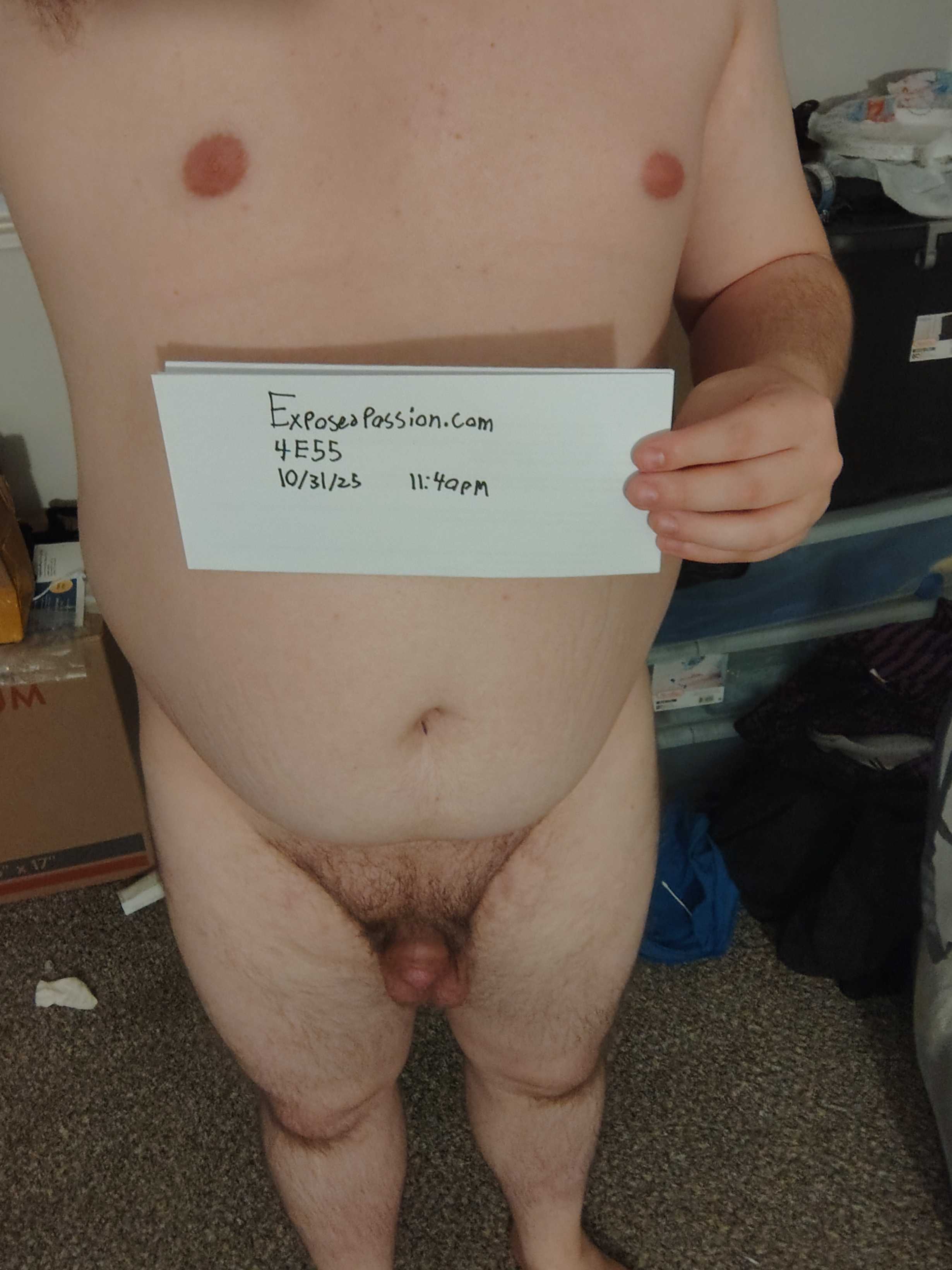 4E55-Verification