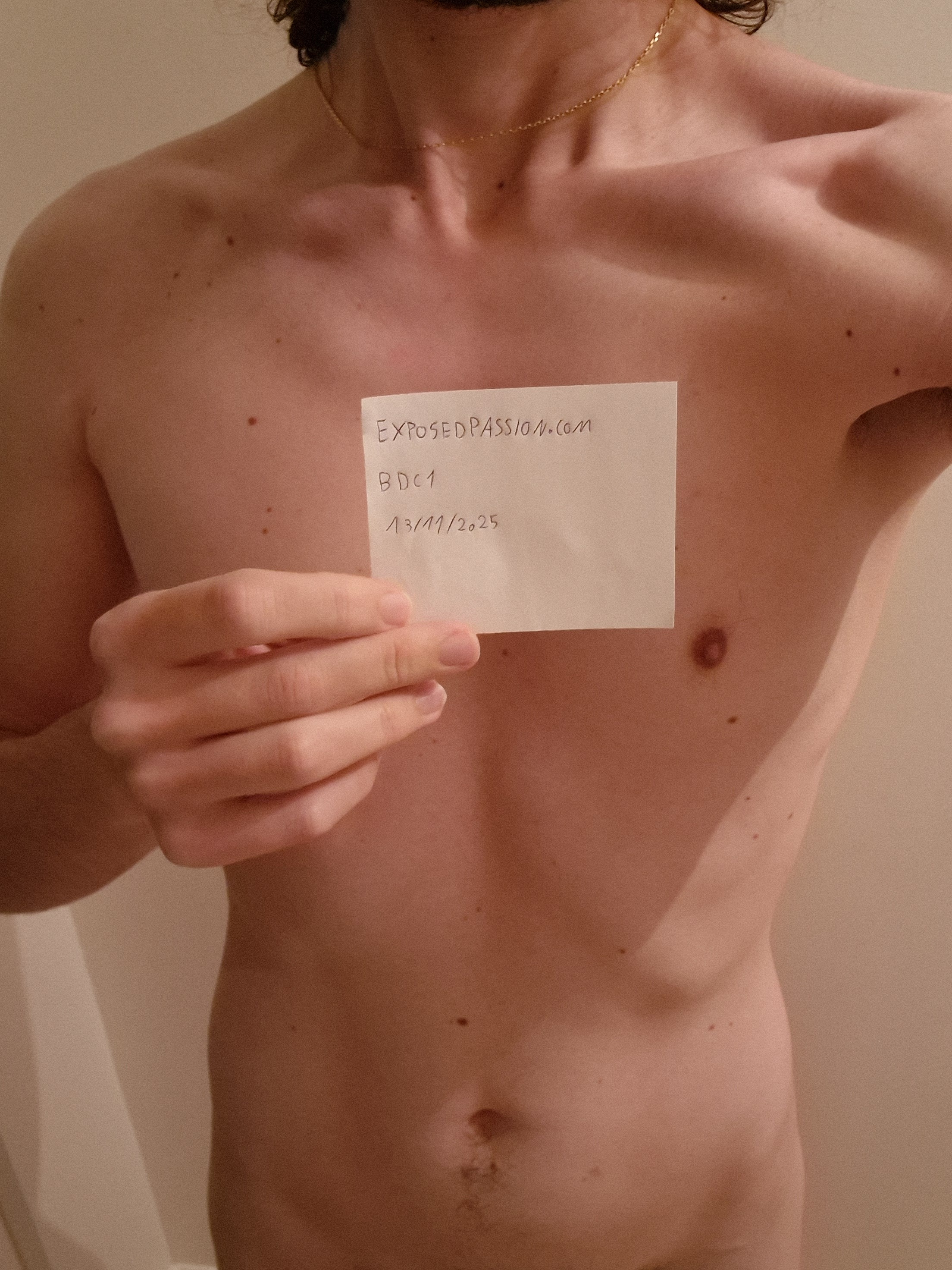 BDC1-Verification