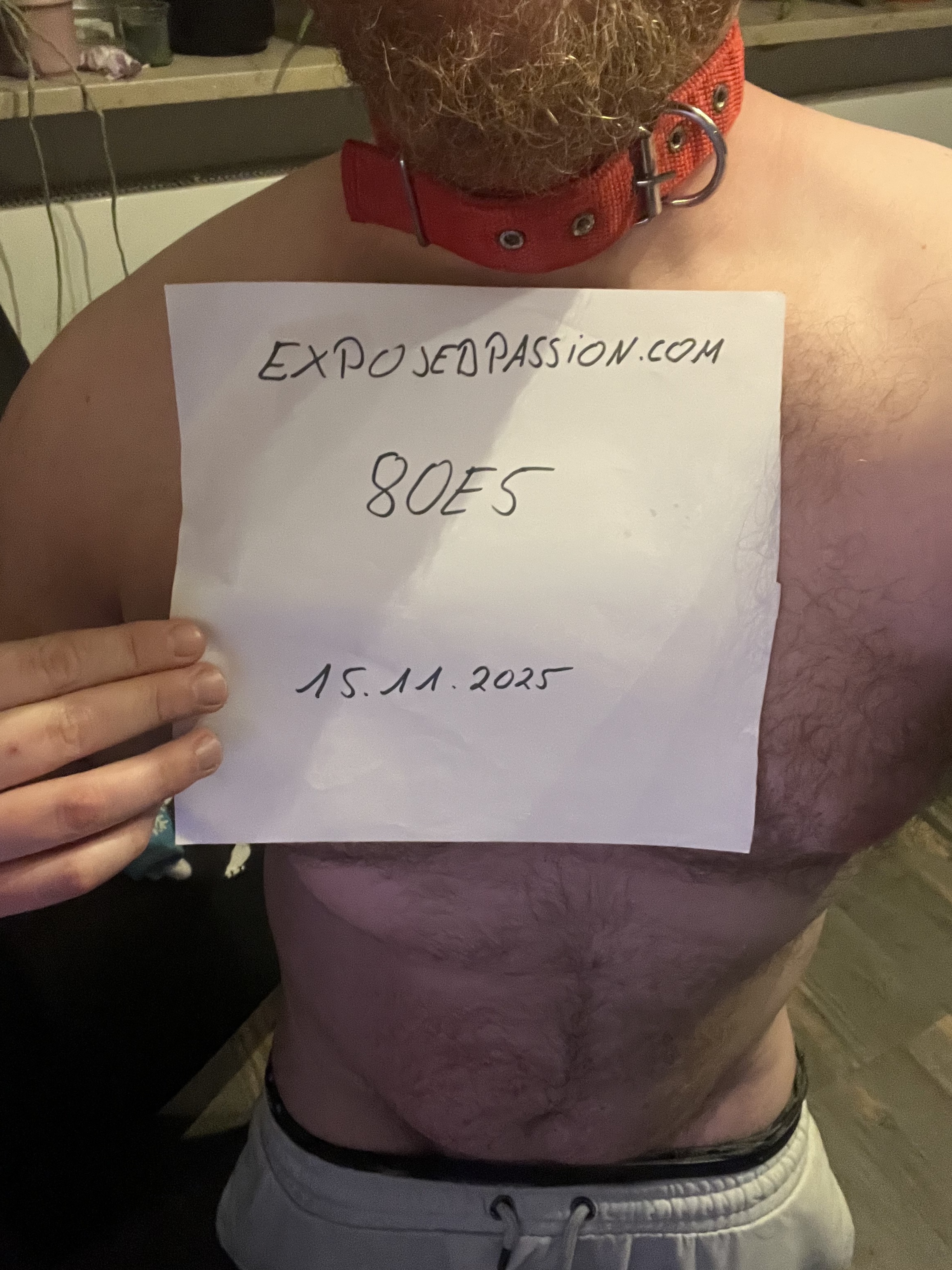 80E5-Verification 