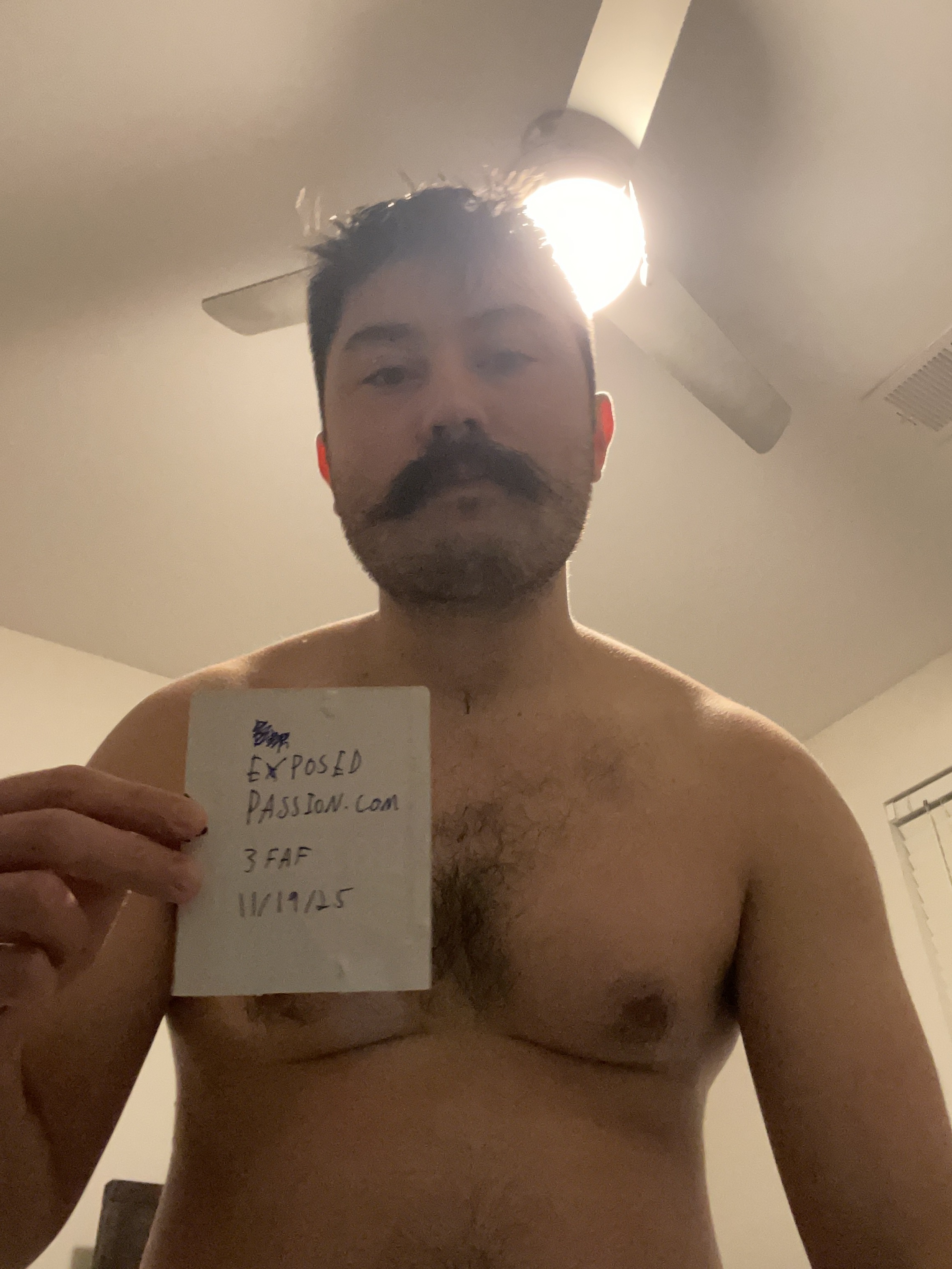 3FAF-Verification 