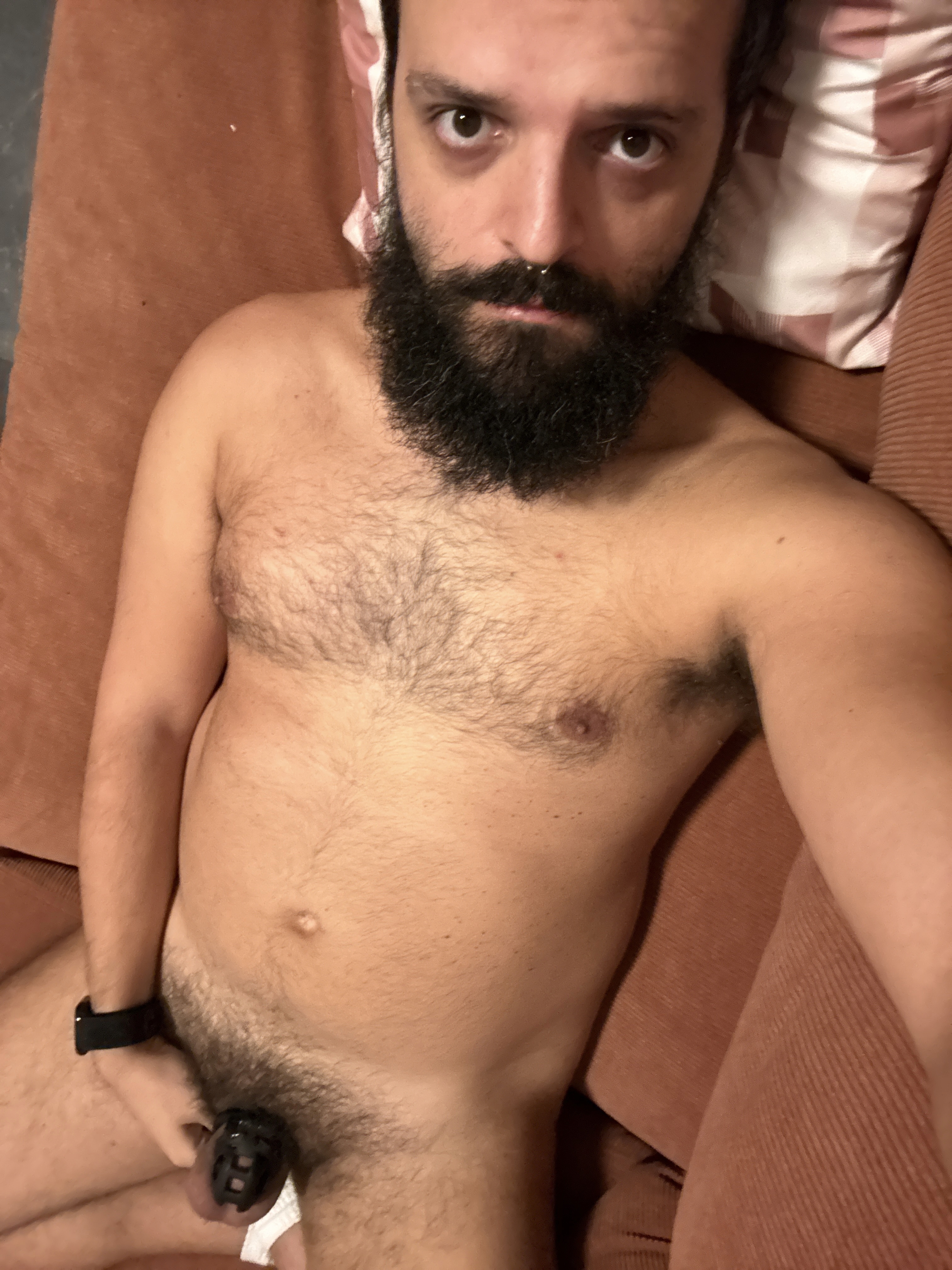 Bearded fag back in chastity