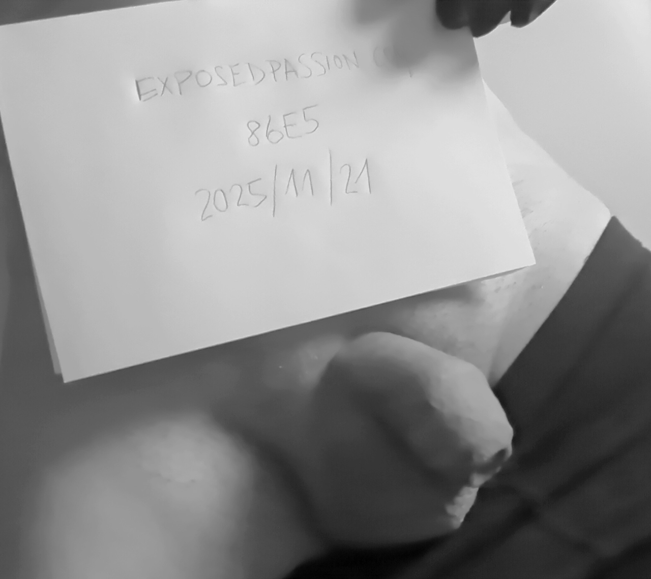 86E5-Verification