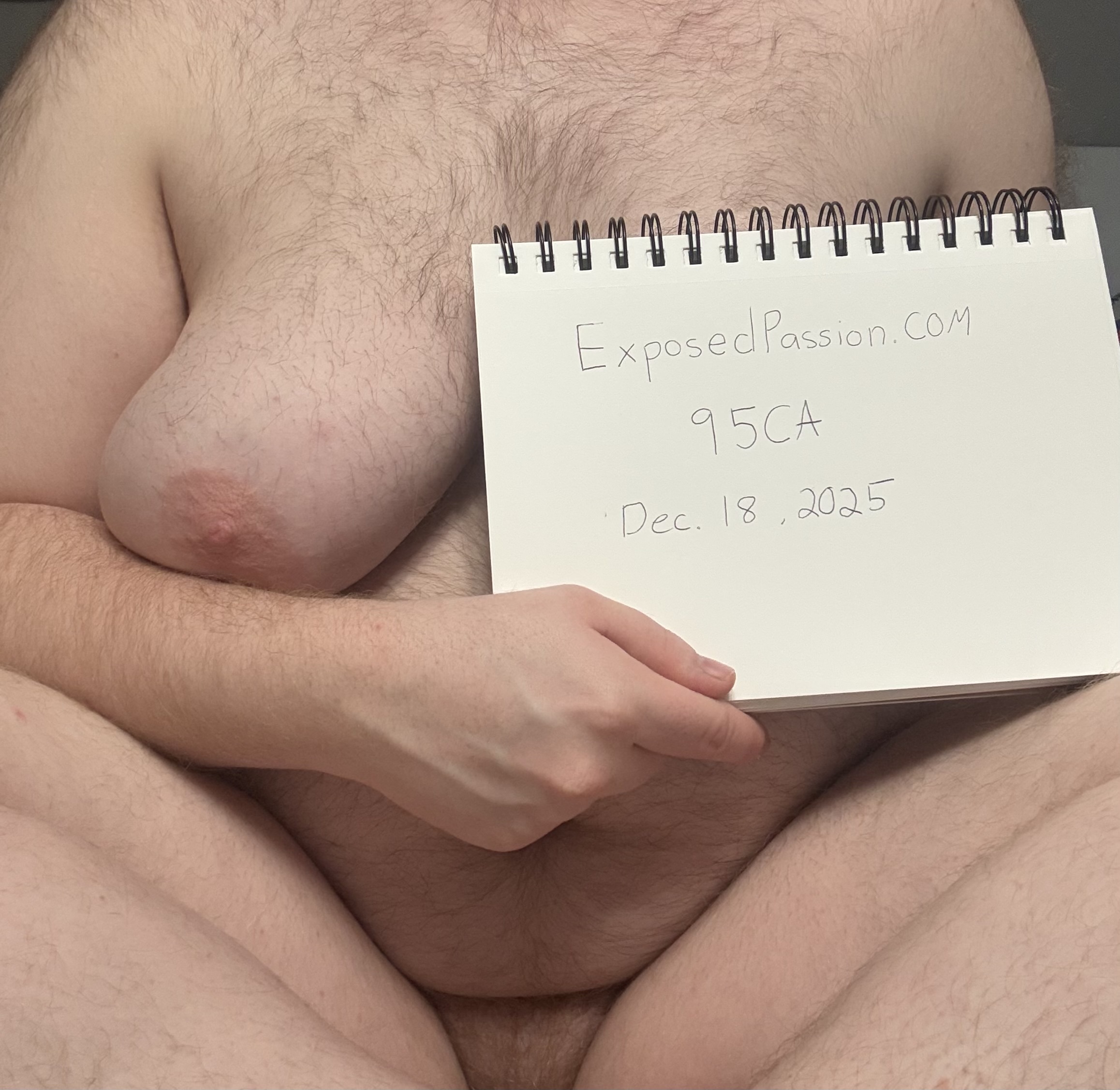 95CA-Verification pic