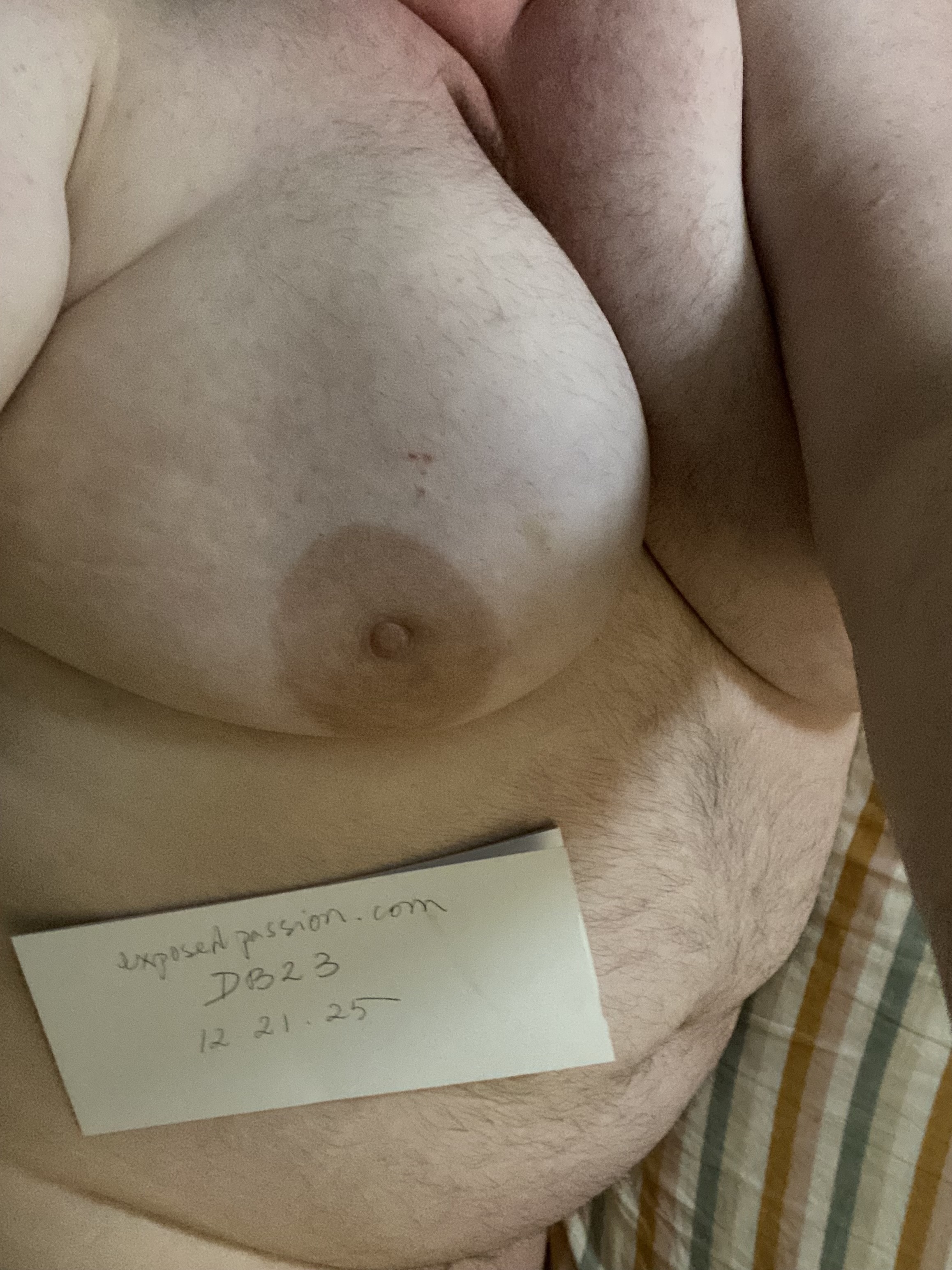 DB23-verification