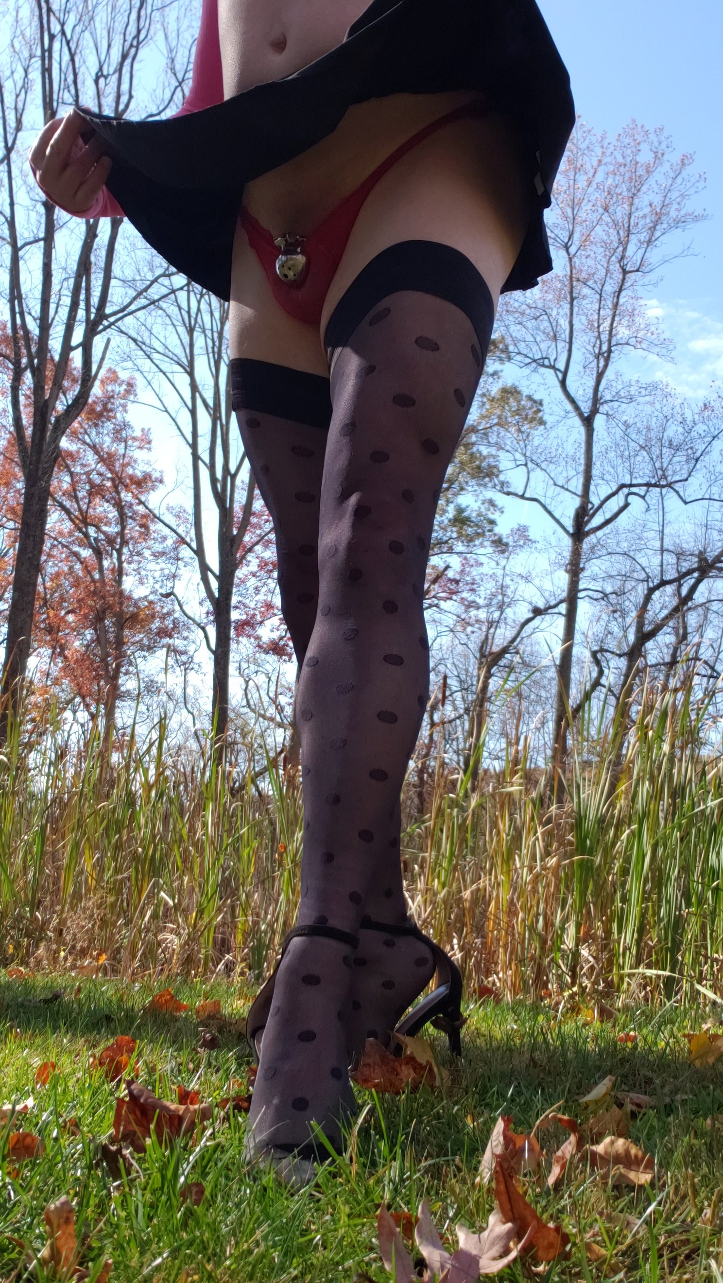 Sissy Exposed