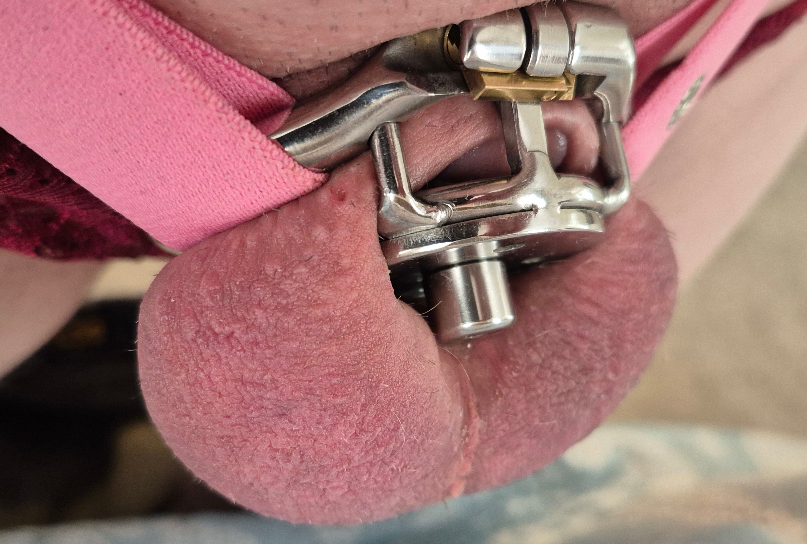 Caged Sissy Clitty