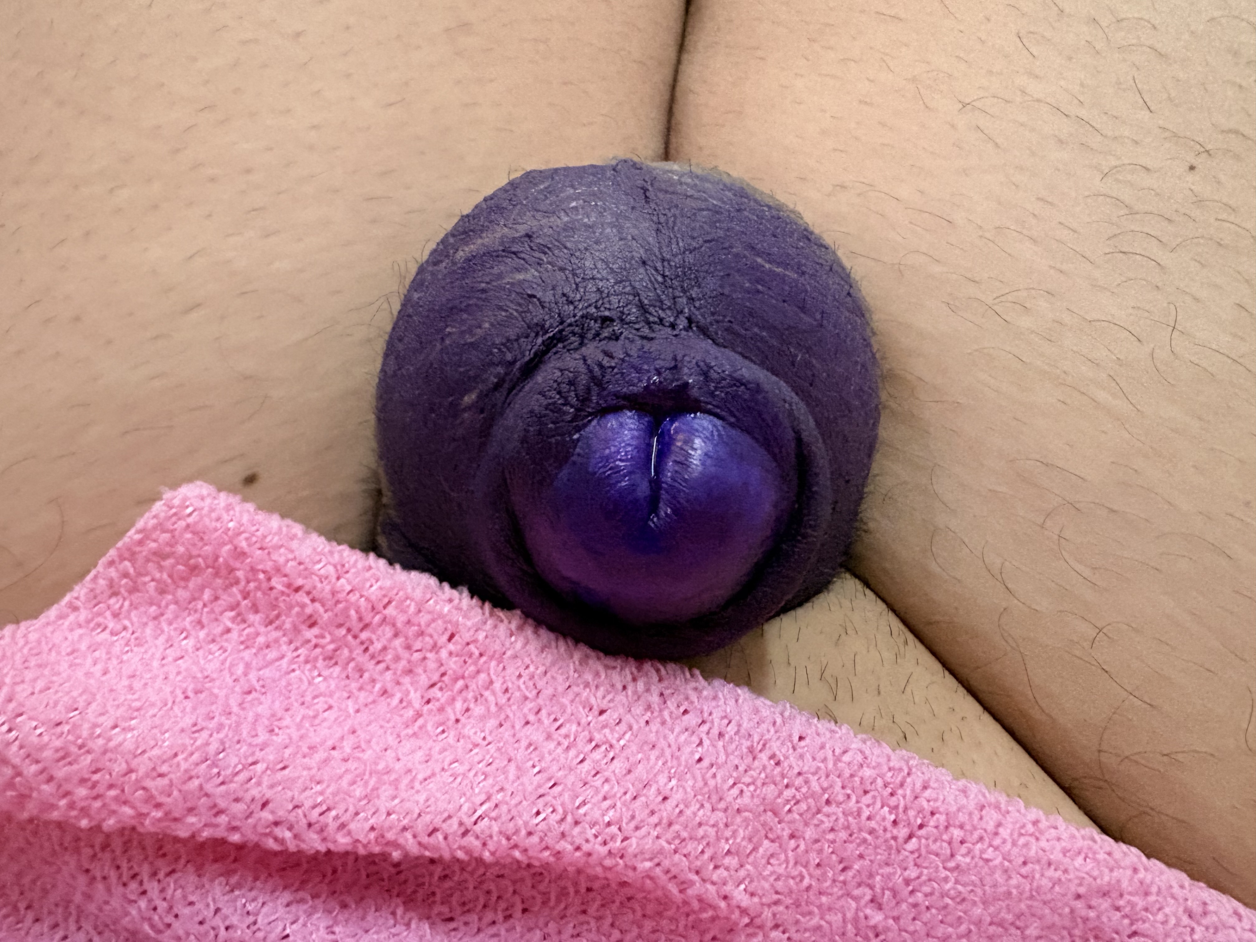 Purple Jelly Bean