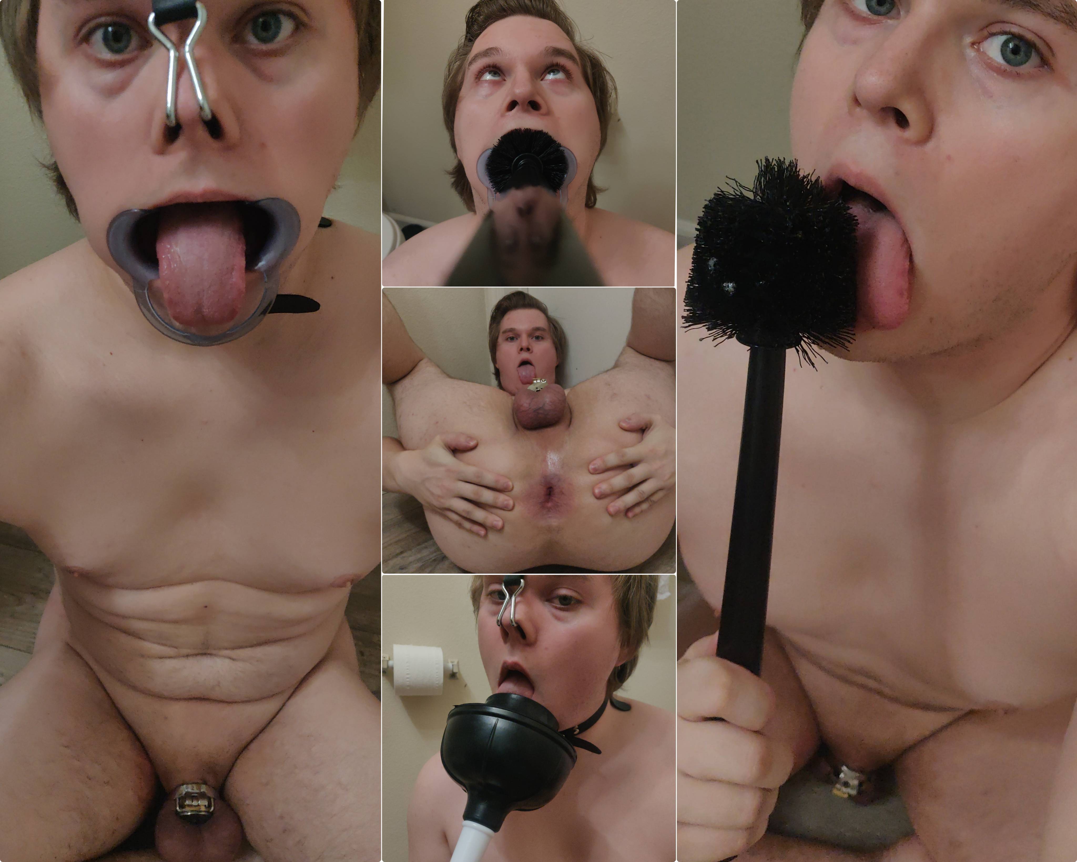 Public toilet piggy