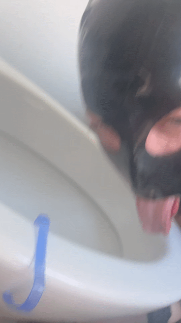 Licking clean toilet for Mistress