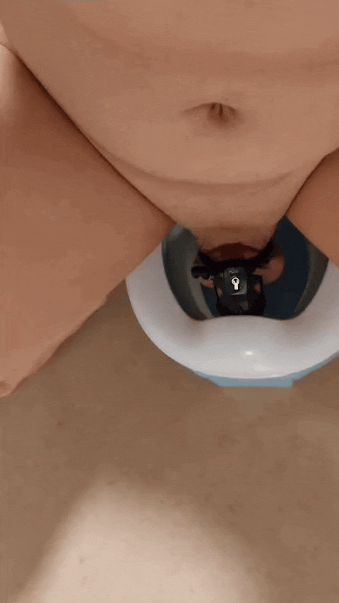 Using my toilet for everyone to see