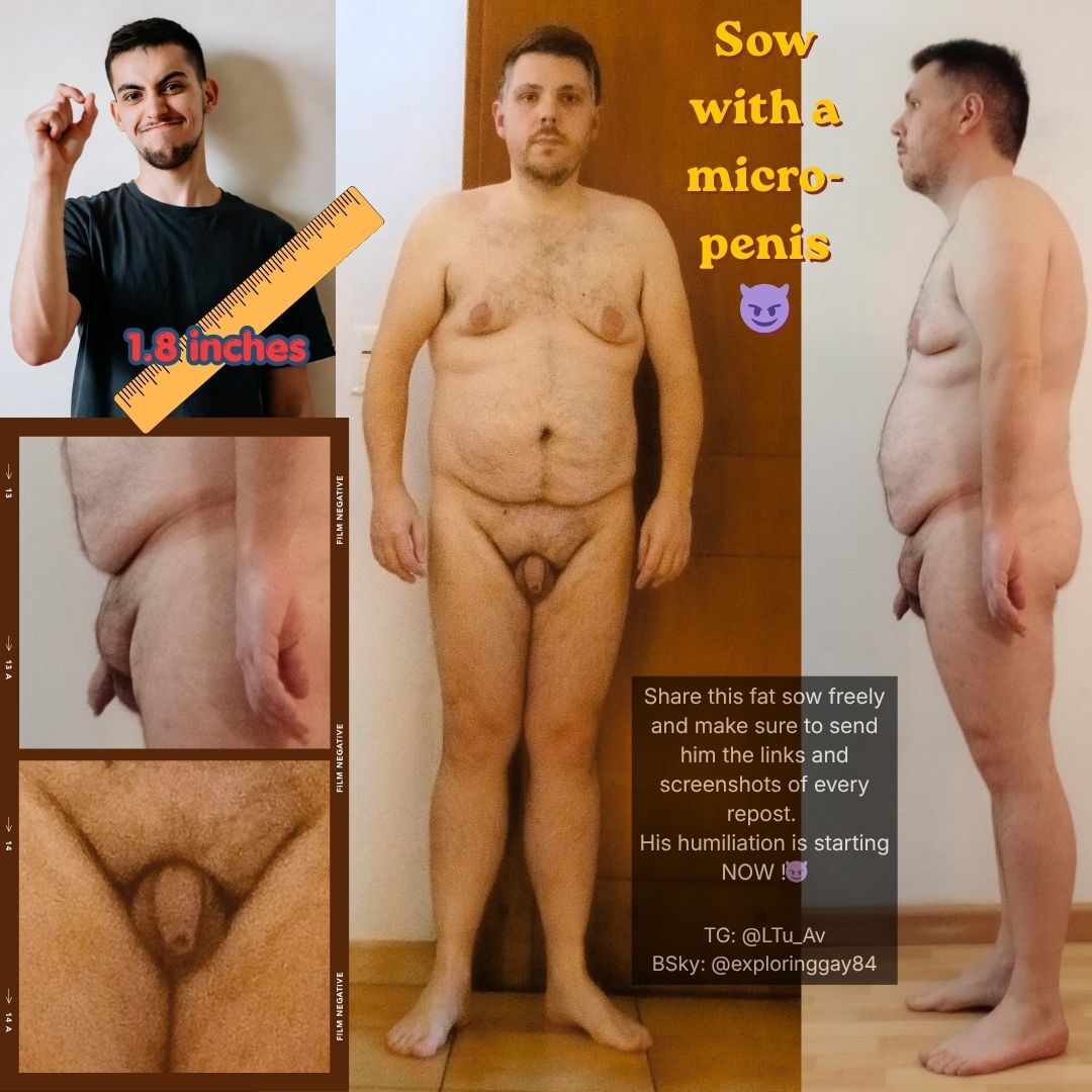 BIG SOW TO BE DISPLAYED MASSIVELY