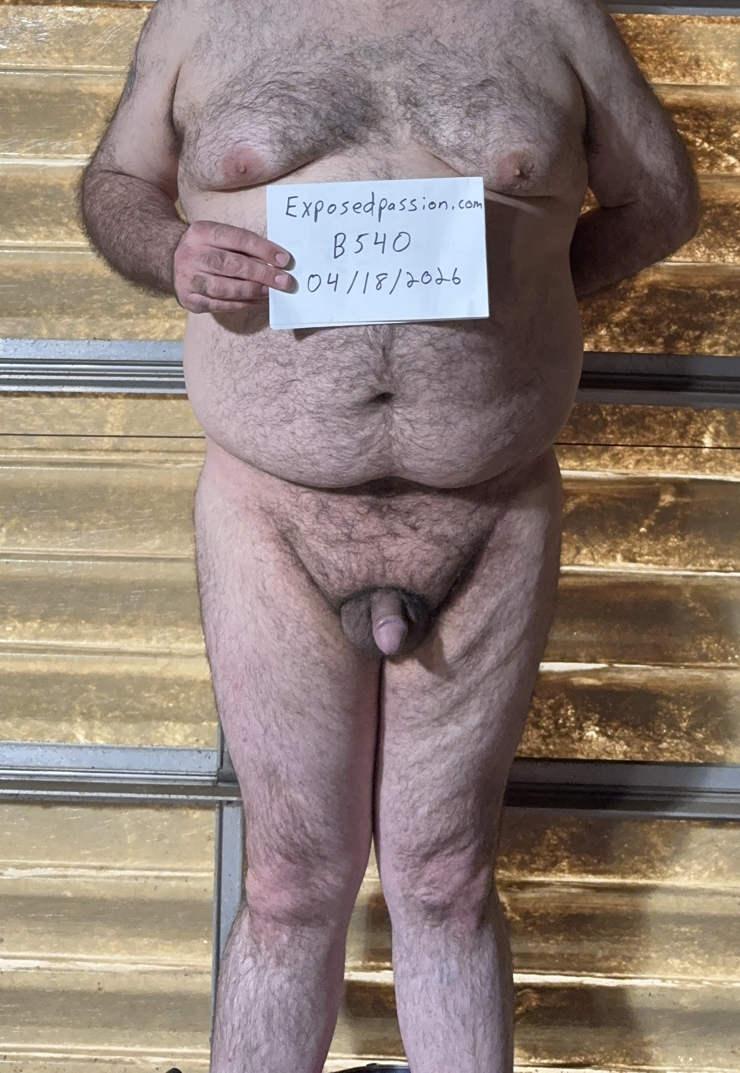 B540-Verification Photo