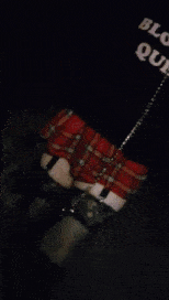 Sissy fuckdoll